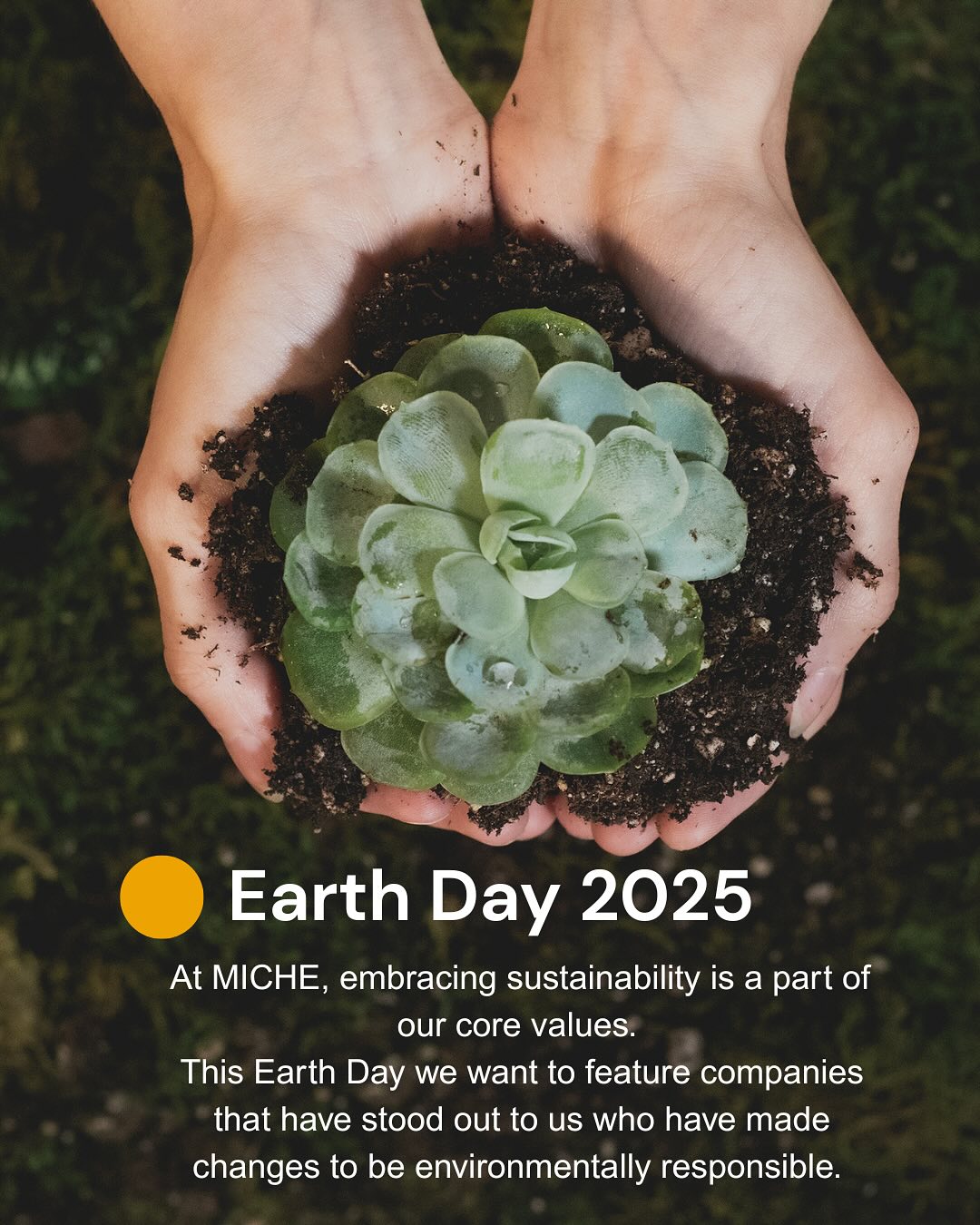 Happy Earth Day 🌎 🌱🌳
.
.
.
#investinourplanet #sustainabledesign #everydayearthday #climatechange #takeaction #earthday2025 #hospitalityindustry #thewhybehinddesign #designwithpurpose #dcdesigner #ourplanetourfuture #cradeltocradledesign