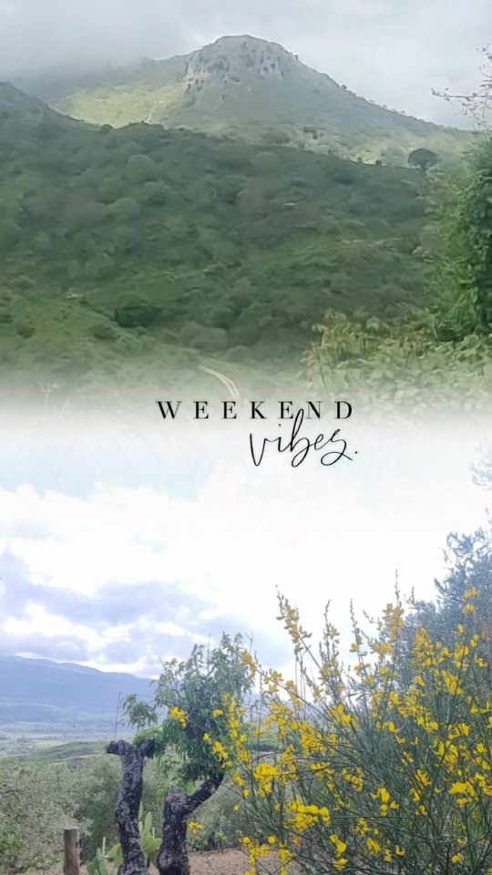 Today, I want to share a truly special experience.
A family asked us to spend a day immersed in nature — surrounded by greenery, authentic scents, deep silence, and the purest flavors of Sicily.
For them, we chose "Per Sempre", an exclusive location nestled near the legendary Alcantara Gorges, at the foot of the majestic and fascinating Mount Etna.
Among hidden trails, ancient vineyards, century-old trees, and the soft whisper of the wind, they lived a moment of pure authenticity, far from the noise of the world.
An outdoor lunch with local products, stories shared against breathtaking views, and time itself seemed to stand still.
This is the heart of SicilyWest by Mario: authentic experiences, tailor-made for those who want to discover Sicily with all their senses.
Come and live the true essence of Sicily.
Contact me to create your unforgettable experience.
www.sicilywestbymario.com
#SicilyWestByMario #SicilyExperience #MountEtna #AlcantaraGorges #AuthenticExperiences #TravelSicily