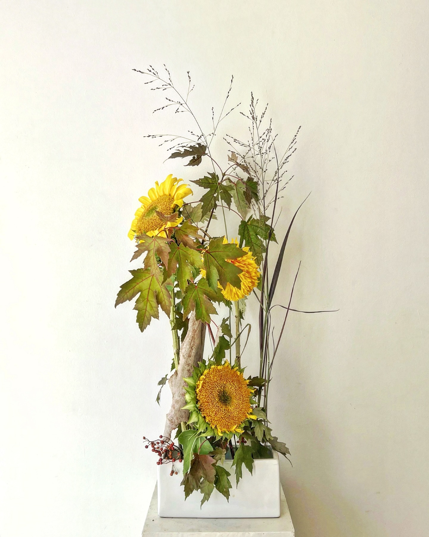 A beloved bloom that holds both summer and autumn in its expression.
Always reminding me of warm sunlight, always lifting my spirit.
#ikebanamelbourne #ikebanasunflower #seasonalchange