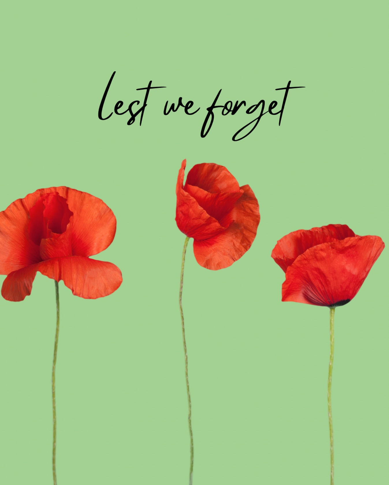 ANZAC Day | Lest We Forget
Today, we pause with deep respect and gratitude to honour the bravery, sacrifice, and spirit of the ANZACs.
Their courage paved the way for the freedoms we are blessed to experience today—the freedom to live, to speak, and to care for one another in a country we proudly call home.
At Kalkoup Clinics, we are especially thankful to live and work on this land, within a diverse and inclusive community where every person matters. This is very special so to us.
As we continue our mission to support and uplift families and individuals—especially those living with disability and complex needs—we do so with the same values the ANZACs showed us: courage, mateship, and resilience.
We remember. We honour. We are grateful.
Lest we forget.