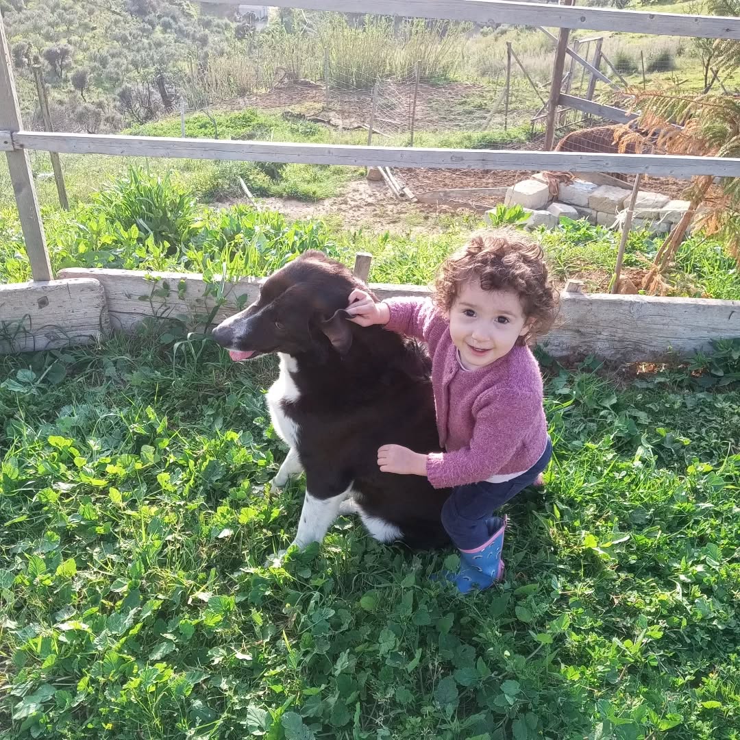 Un po' di questo primo mese di primavera a #boscoemma