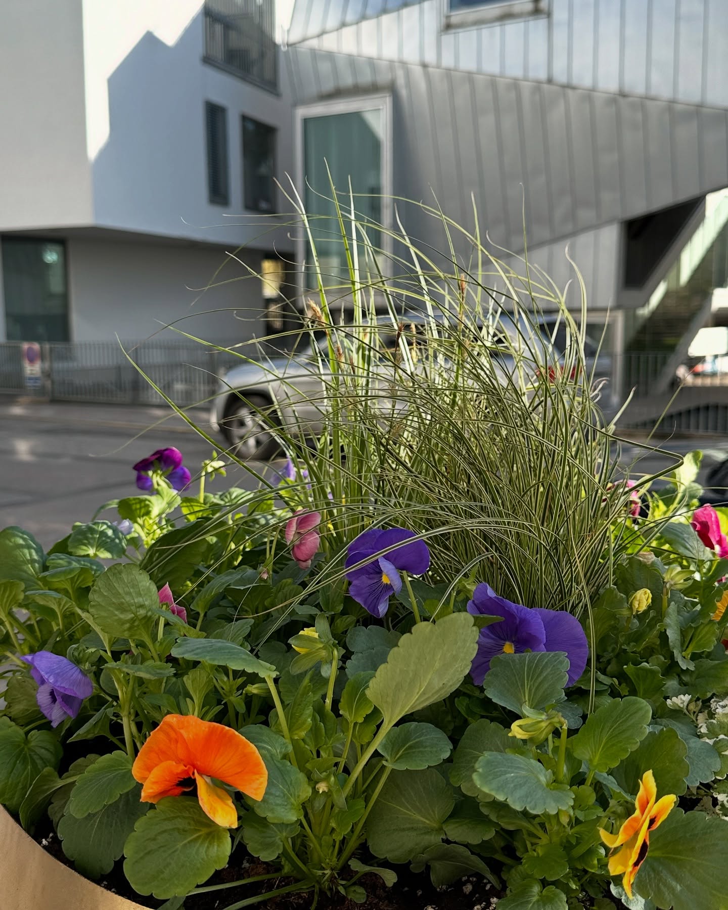 Our incredible composition from @fito_design_ 🌿🌾