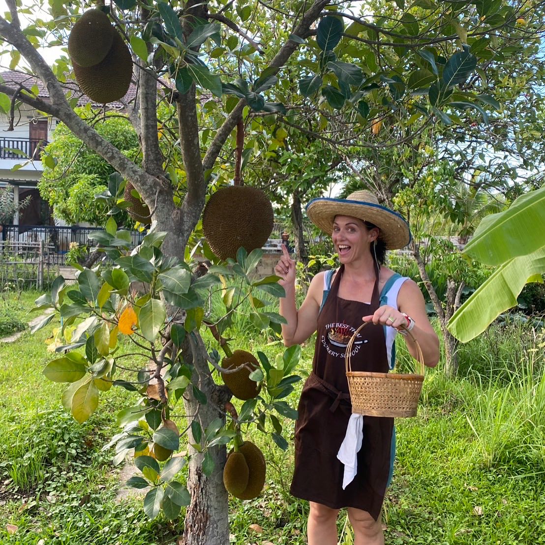 Have you ever seen jackfruit trees before ?
The sweet and juicy fruit ever
Thank you pic from our chef and his organic garden 🪴
Organic garden tour and hand picked are the one of activities in our class !
Book now for learn more about Thai food
“Learn Thai food learn with the best Thai cooking course, since 2006 “
#Thai #chiaangmai #cooking #thaifood #cook
