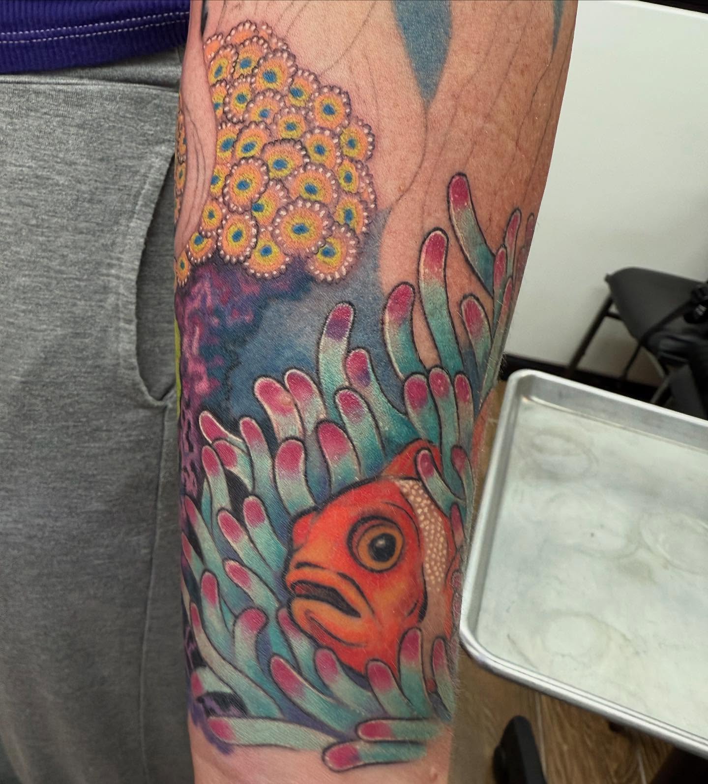 Clown fish and anemone healed rest fresh, still a ways to go in this one but tons of fun with an old friend!