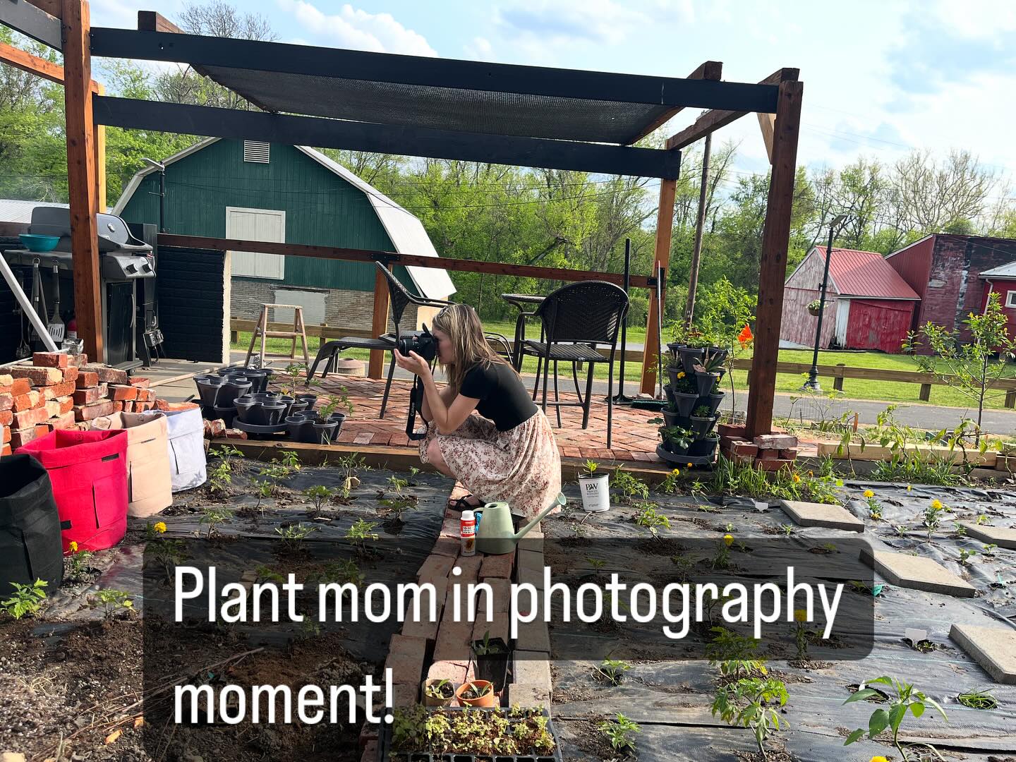 #plantmom #plant dad #gardening #plants #photographer #photoshoot #gardening #companionplanting #tomatoes #potatoes #diy #diywithchelsea #diy
