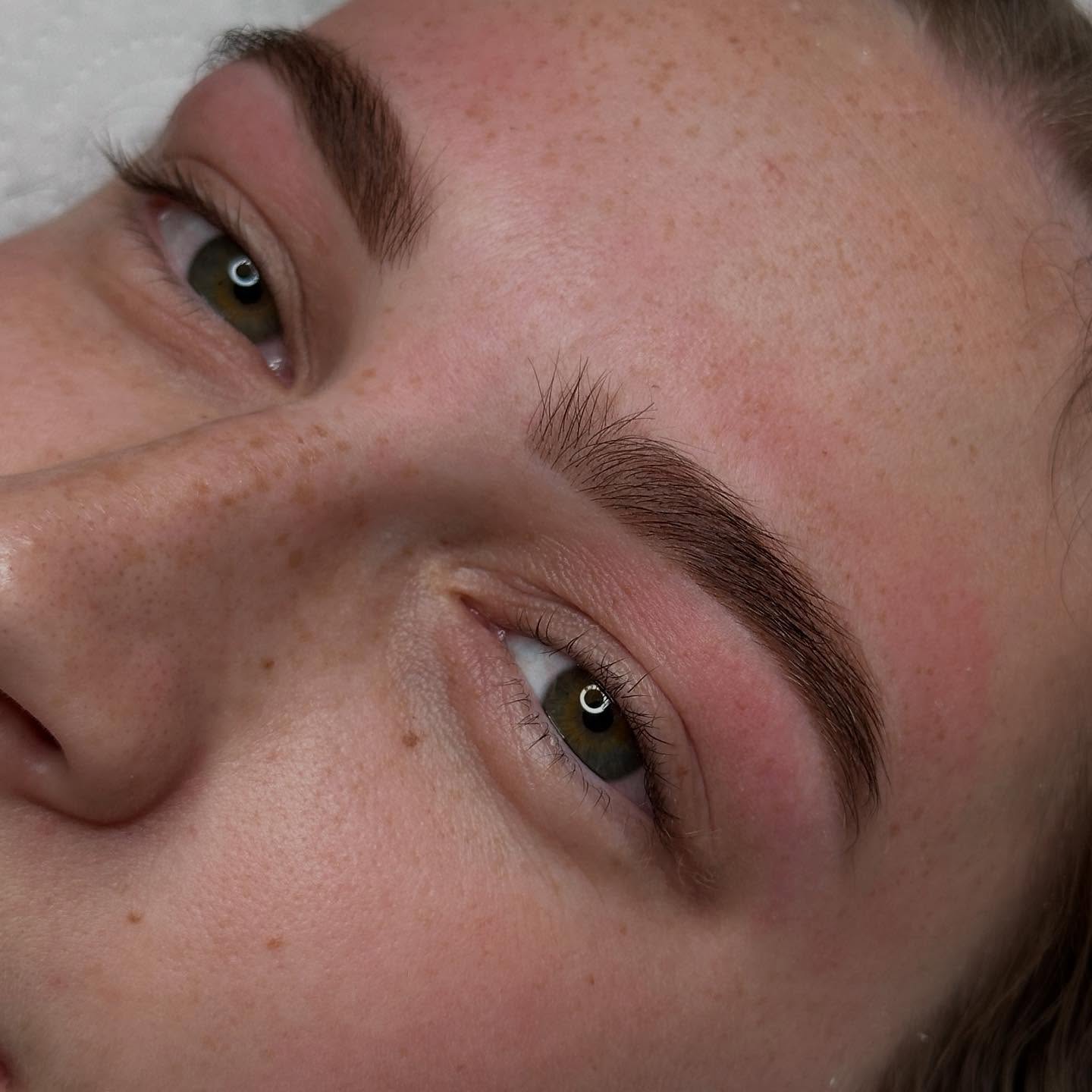 Blessing your feed with a fresh set of Hybrid brows, how gorgeous is that colour match 🤍
#brows #hybridbrows #browcode #embellir #dunedin