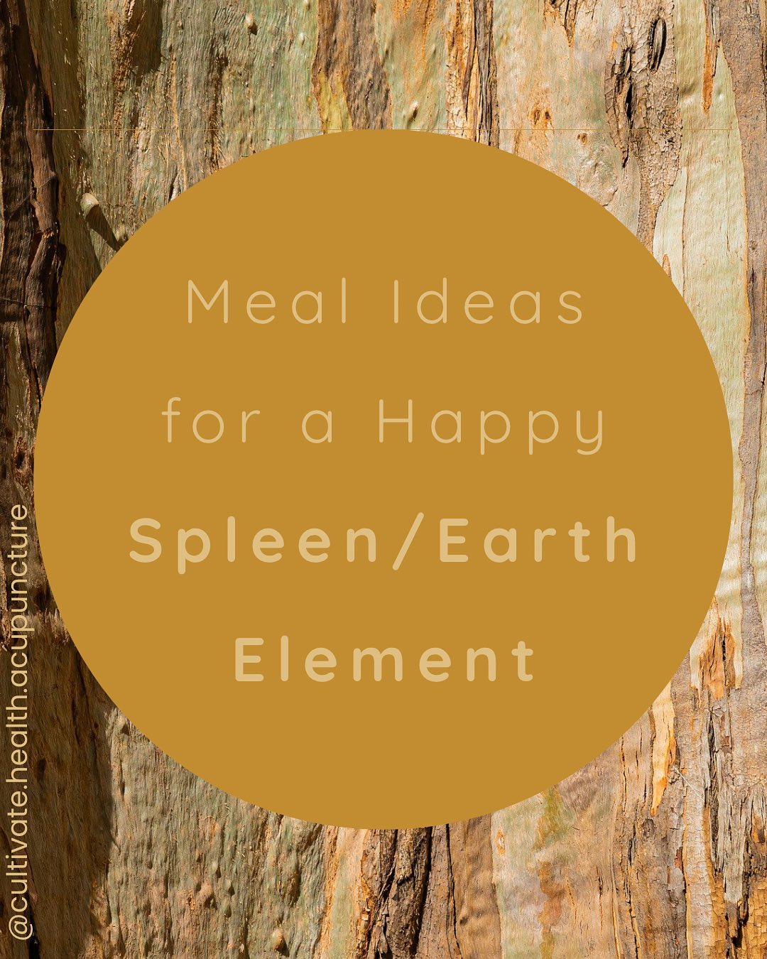 So most of you have heard me talk about choosing warming foods for your Spleen system/Earth element/Digestive centre. The ancient ways of Chinese medicine don’t really recommend frozen smoothies and endless salads I’m sorry to say.
As with everything in this medicine, diagnosis and treatment are individualised, meaning dietary recommendations will vary from person to person. E.g if you run super Hot I’ll advise you to stop overloading on excessive spice, garlic, chilli, chocolate and coffee and bring in cucumbers, some raw veg (always room temp though!) and peppermint tea. If you have a Damp constitution I’ll advise less dairy, processed foods, fried foods and sugar - including sugary fruits like bananas. If you are Yin deficient, advice will be based on healthy fats and oils like avocado and nuts, plus bone broth, eggs and berries.
However, in saying all that Spleen Qi Deficiency (symptoms listed in post above) is so common in the clinic - if this is you, focus on a warming diet to both repair from and prevent becoming imbalanced in your digestive centre.
Just a taste of things considered, and a few meal ideas… If you’ve got more questions let me know 🍲
#chinesedietetics #acupuncturist #acupunture #mealideas #warmingfoods #happyguts #chinesemedicine