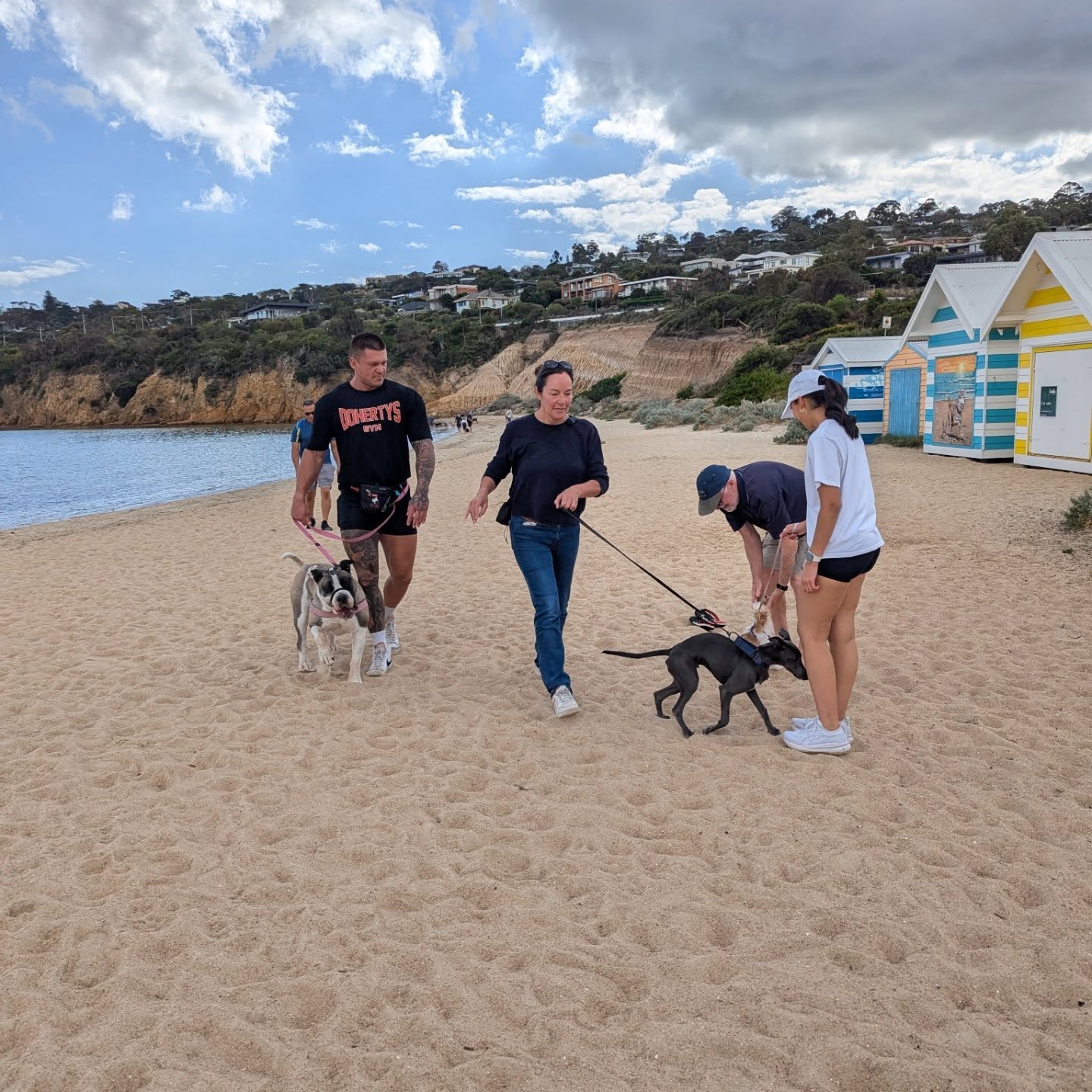 A beautiful morning walk, back just in time before the rain.
See you all again soon
Where would you like to walk next??