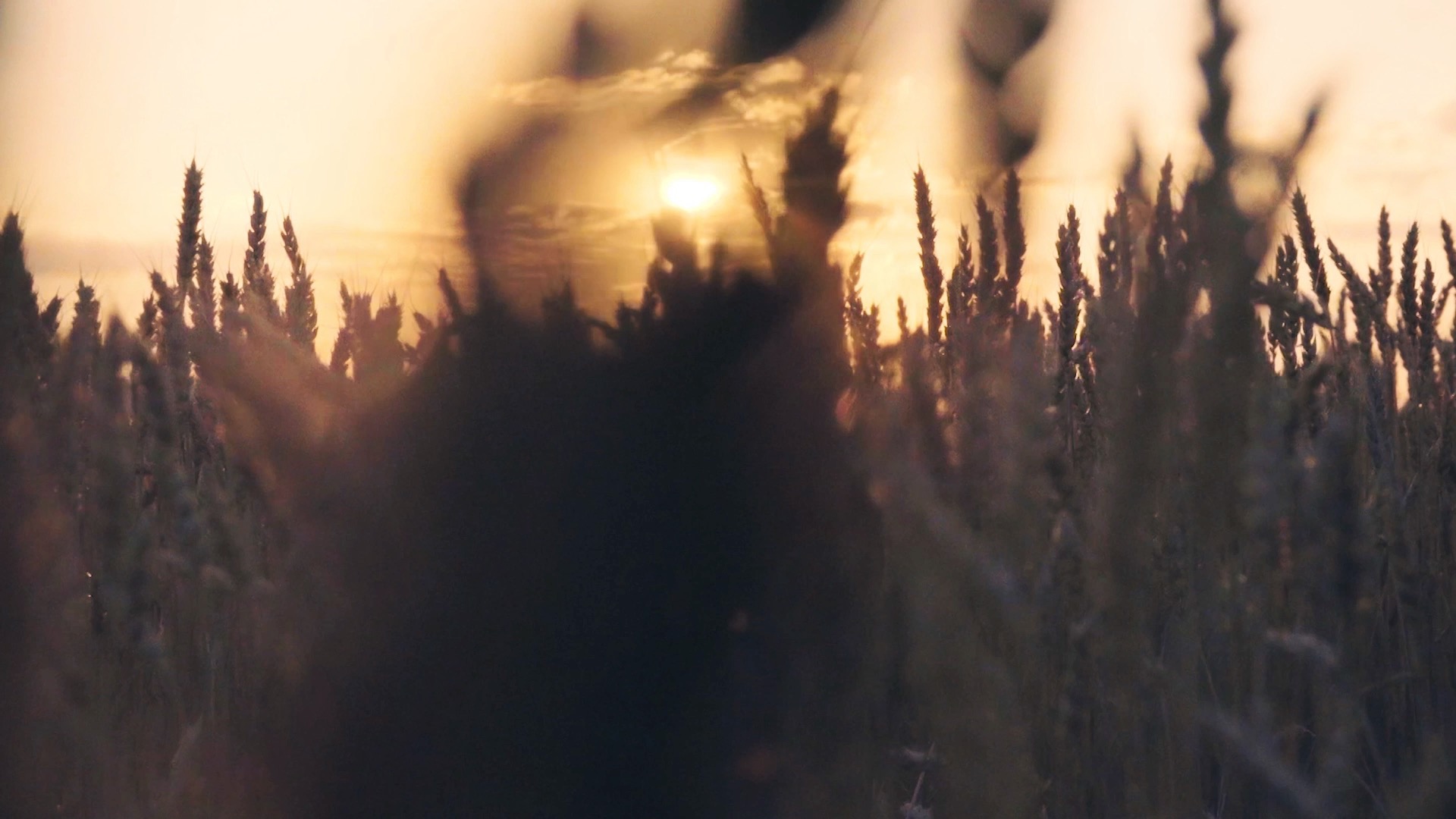 🌱 You're invited!
Join us in 🇩🇪 Germany for the next Adventist Agriculture Conference by AdAgrA Europe!
📅 January 6–11, 2026
📍 Bibel- und Erholungsheim Hohegrete
🎙️ Featuring: John & Pam Dysinger (USA) – Christian farmers, educators & advocates of country living.
✨ Grow in faith, skills, and community with like-minded believers from all over Europe.
🔗 Learn more & subscribe: www.adagra.eu
📽️ Watch & share the video!
👇 Tag a friend who should come with you!
#adagra #faithbasedfarming #adventistagriculture #gardeningwithgod #countryliving #hohegrete #adagraeurope