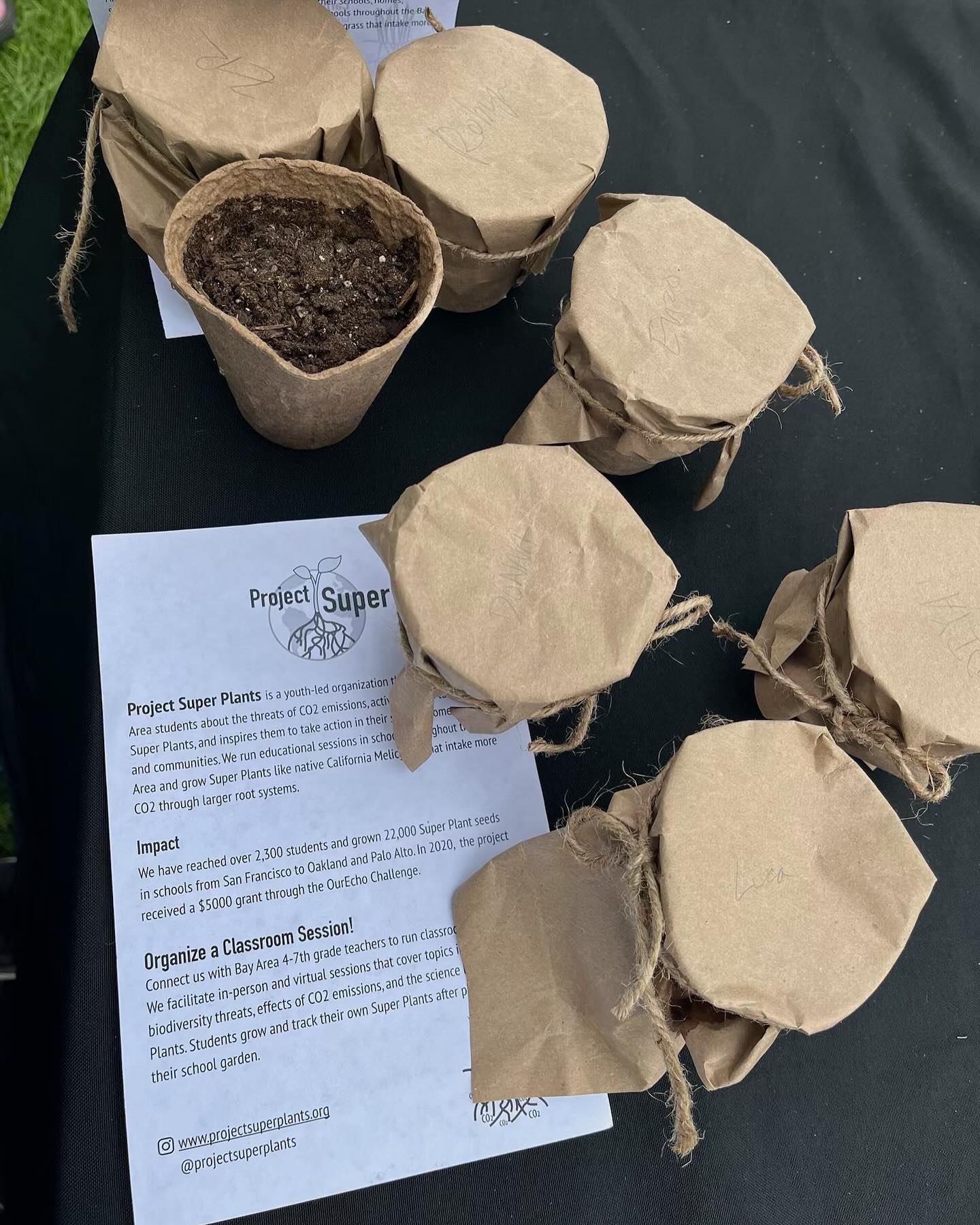 BAYCS Earth Day Festival! 🌎