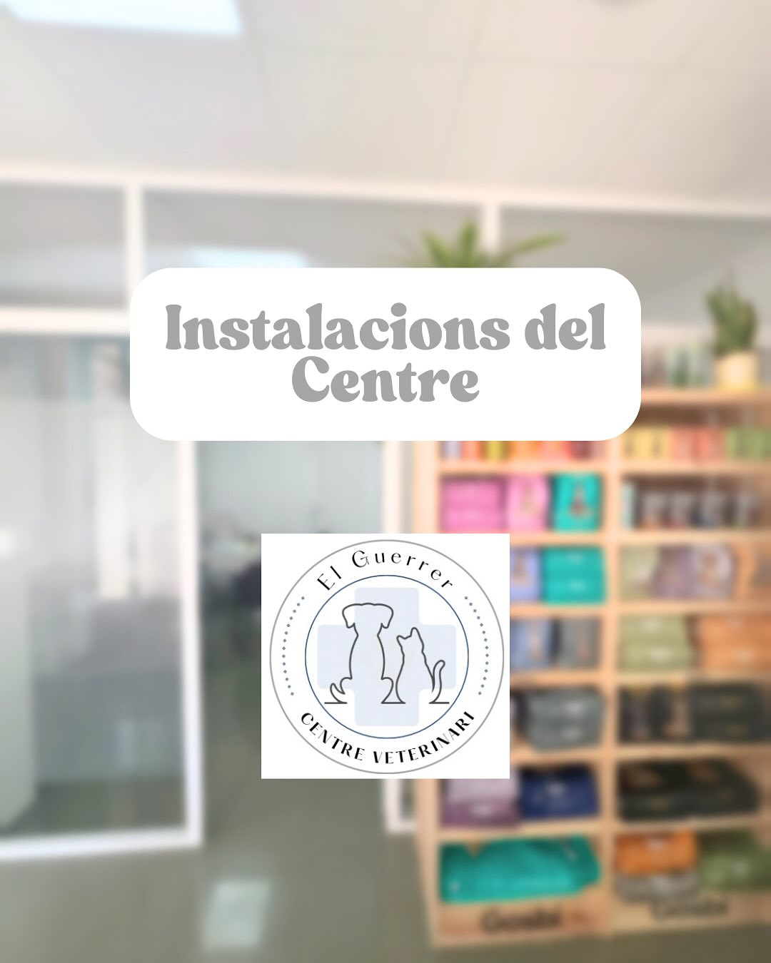 Descobreix les nostres instal·lacions!
Al centre veterinari intentem cuidar cada detall per oferir el millor servei als teus peluts! 🐾
🏥 Consulta veterinària: on revisem la seua salut amb estima i atenció personalitzada.
🔬 Laboratori propi: resultats ràpids per a un diagnòstic eficient.
🛏️ Sala d’espera: pensada per a gossos, gats i les seues famílies.
🔧 Quiròfan totalment equipat: per a cirurgies segures i amb monitors d’última generació.
🩻 Raigs X digitals: diagnòstic ràpid i precís.
🧭 Ecografia: per a explorar l’interior sense molèsties ni dolor.
El benestar del teu animal és la nostra prioritat! 🐶🐱
