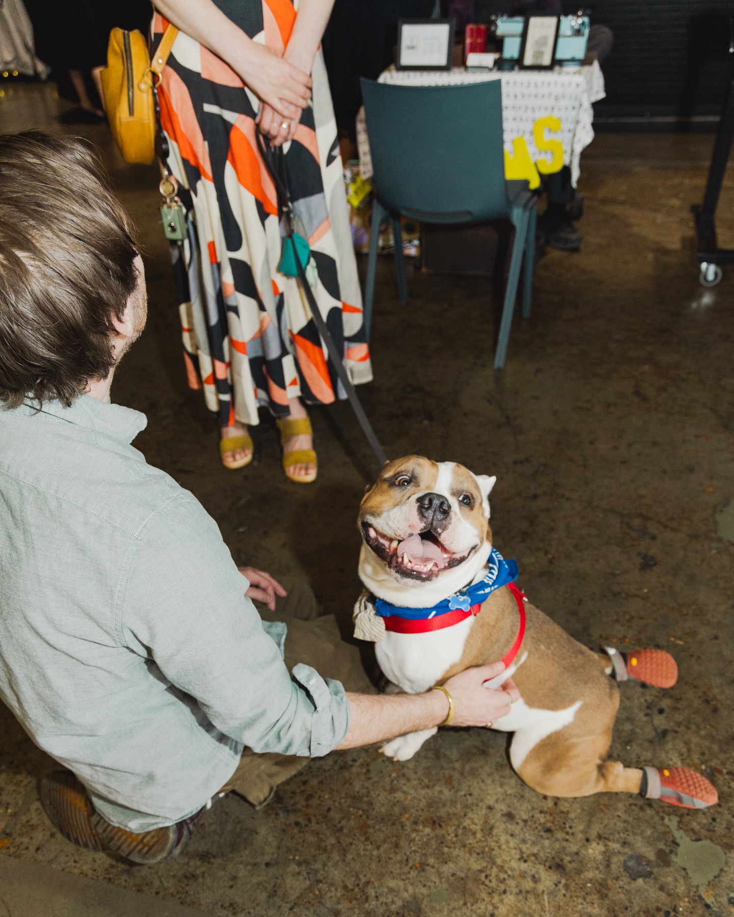 Our hearts are full after an incredible event filled with wagging tails, happy faces, and an outpouring of love ❤️ From the tiniest paws to the biggest hearts, the community showed up to support OTAT and their mission of improving the lives of companion animals through love, care, and advocacy.
So many amazing people. So many adorable pups. So much good done. Can we have this event every week?? 😊
Photos by: @spencergentz
Catering: @tamaleboypdx
Av: @reallybigvideo
Photobooth: @stumptownbooth
Event: @otatpdx