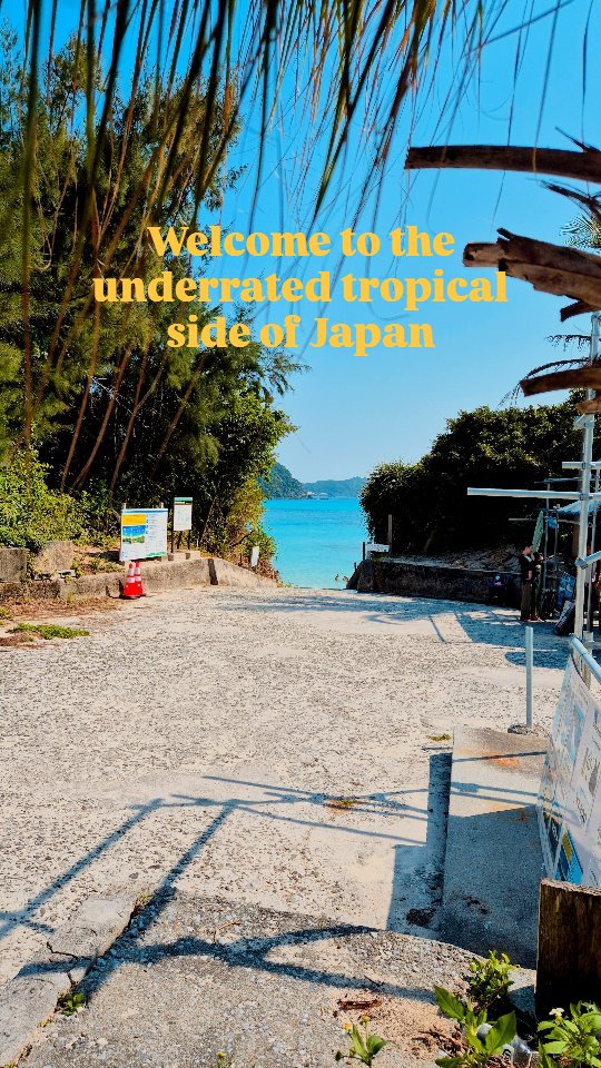 Everyone talks about Tokyo, Kyoto, Osaka... but nobody tells you about Japan’s hidden tropical paradise!🐚🌊🏖️
Think white sand beaches, crystal-clear waters, mouthwatering food, rich traditions, and a slower way of life that makes you forget what day it is.
Fun fact: Okinawa is home to some of the longest-living people on Earth, once called the Land of Immortals.
Their secret? A life built around community, fresh local food, movement, and a deep sense of purpose.
You don’t just visit Okinawa — you feel it.
From colorful markets to peaceful and quaint beaches to ancient Ryukyu villages, every corner here feels untouched, soulful, and special.
Maybe it's better if we keep this little slice of paradise our secret😉...
#okinawajapan #getyourguidehiddengems #traveljapan #beachdays #bluezones #wanderlustjapan #islandvibes #underrated #BucketListTravel #thingstodoinjapan #japantraveltips