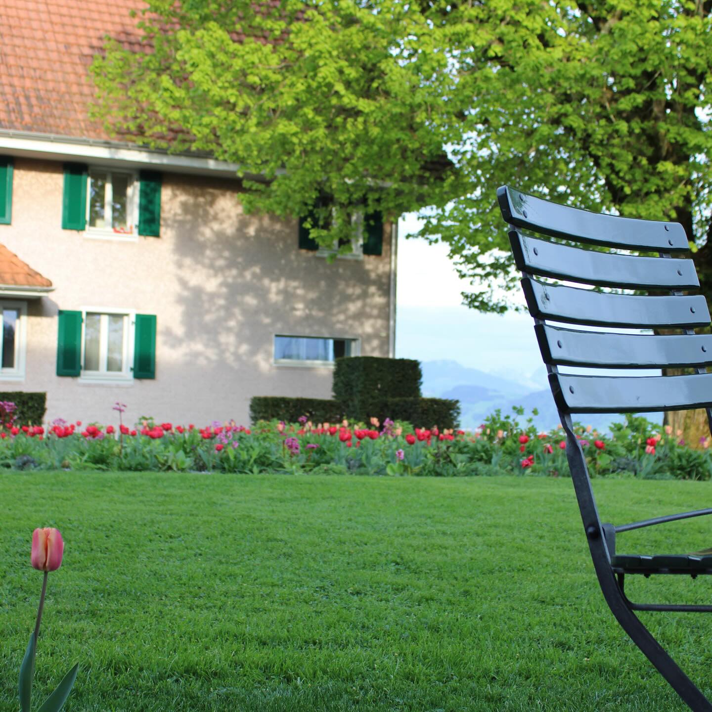 Ihr Garten. Ihre Auszeit.
Blühende Tulpen, sattes Grün und ein Platz zum Durchatmen – so sieht Gartenliebe aus.
Mit Herz, Ideen und Erfahrung gestalten wir bei Tollegärten GmbH Ihre persönliche Wohlfühloase.
Jetzt Beratung sichern & Frühling genießen!
#Tollegärten #Gartenidylle #Traumgarten #frühlingimgarten