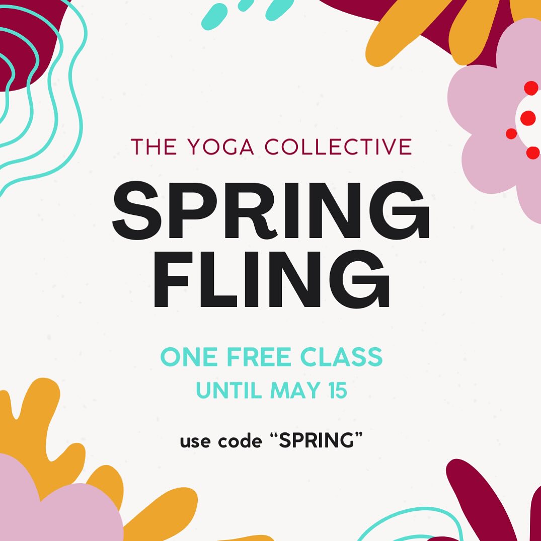 ☀️Use code “SPRING” to take a class on us - any class of your choosing, whether you’ve taken class with the Yoga Collective or not. The link to join is in my bio. ☀️
We’ve even added some bonus classes to the schedule.
🌺I’m currently teaching Thursday mornings at 8am PDT! 🌺
If you can’t make it live, most classes (all of mine) are recorded and sent to you.
#virtualyoga #zoomyoga #yogacollective #springsale