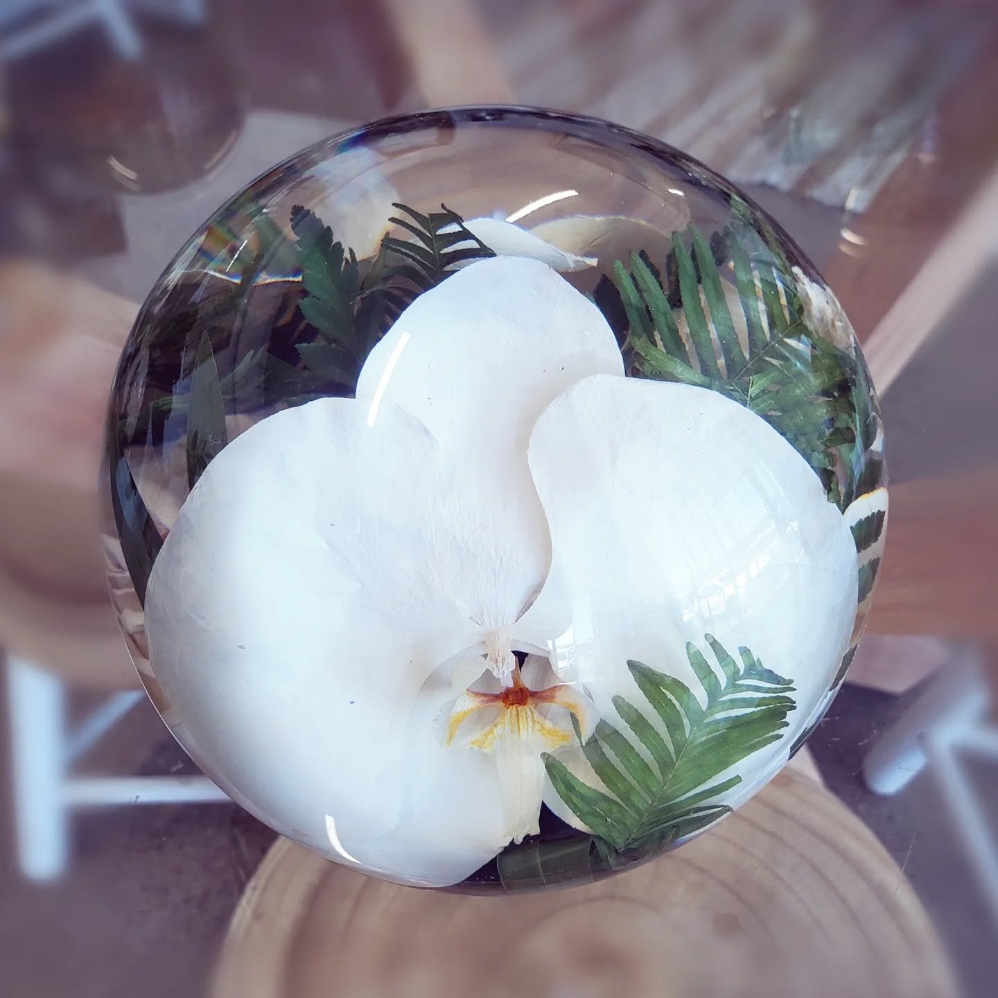 🌿 Preserving nature's beauty, one flower at a time 🌿