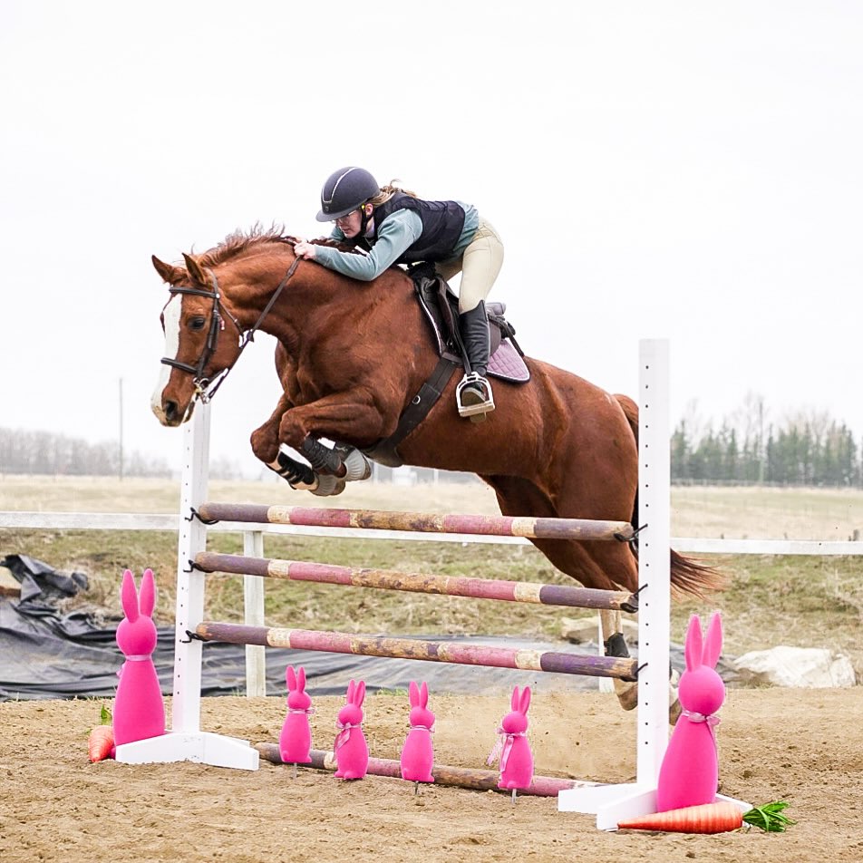 Springfest smiles at SugarTide!
Moira and Lady soaring over their final Joker fence to clinch the win in our 1.00m/1.10m division!
We’re so proud of everyone who came out to ride, cheer, and celebrate with us today. What a fun way to kick off the season! 💜
(Pictured: Lady making sure not to touch a single carrot!)
#SugarTideSpringfest #ShowJumping #HorseShowFun #TeamSugarTide #PonyPower #SpringCelebrations #WinningRide