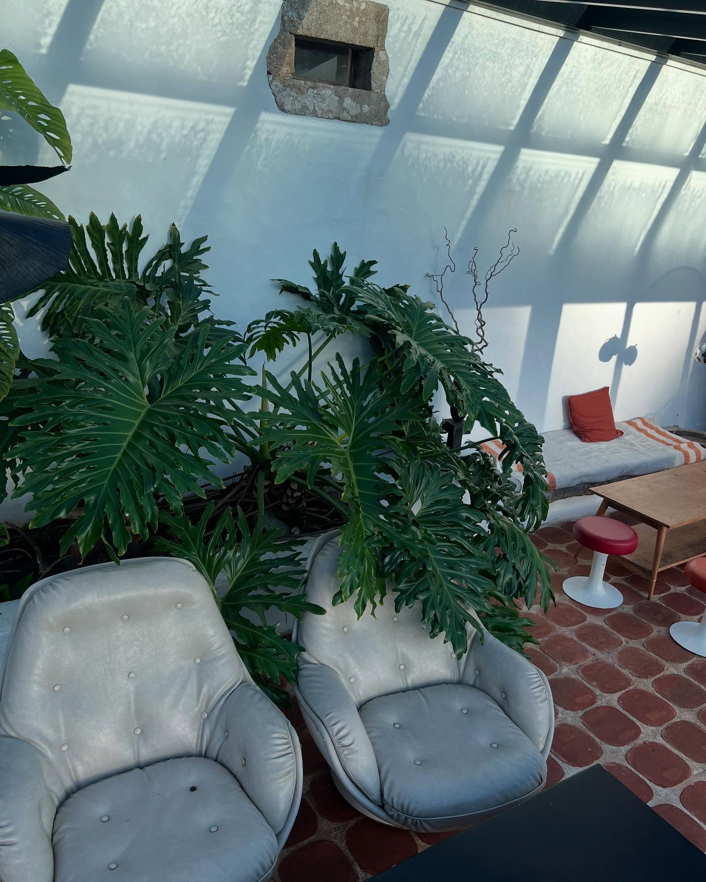 Tudo bem til now 🧡
#casatudobem #tudobem #portugal #sunday #chill #slowlife #sunlight