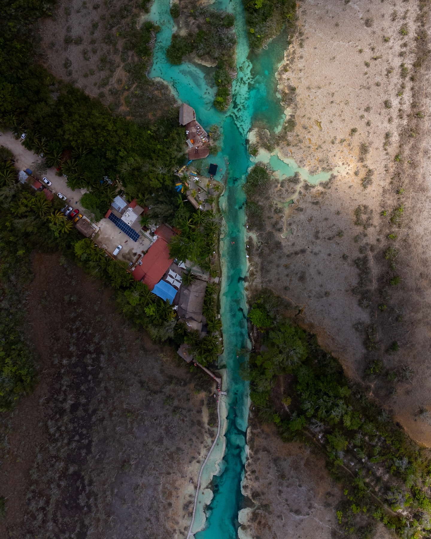 Los RĂĄpidos outside Bacalar, Mexico â crystal-clear turquoise waters flow through gentle natural rapids.
This surreal stretch of the Bacalar Lagoon is home to stromatolites, ancient rock-like formations built by microorganisms that date back over 3.5 billion years.
#LosRapidos #BacalarLagoon #Stromatolites #MexicoTravel #NaturalWonder