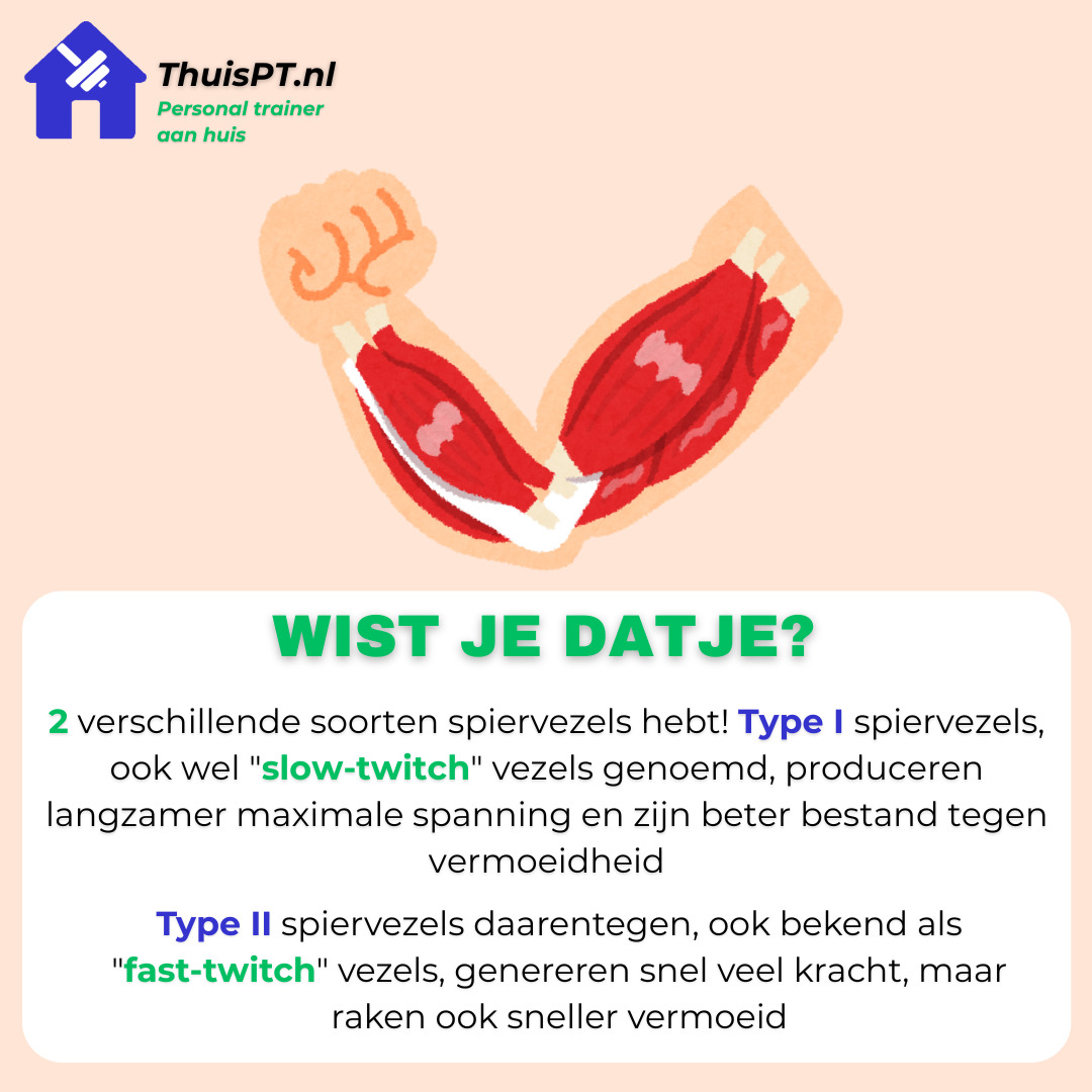 Als je type I spiervezels wilt trainen om je krachtuithoudingsvermogen te verbeteren, richt je je tijdens weerstandstraining op 12 tot 20 herhalingen per set. Maar wil je vooral sterker worden, dan train je beter met zwaardere gewichten en doe je 1 tot 5 herhalingen per set.
meer weten over dit onderwerp? bekijk mijn nieuwe blogpost hier
https://www.thuispt.nl/blog