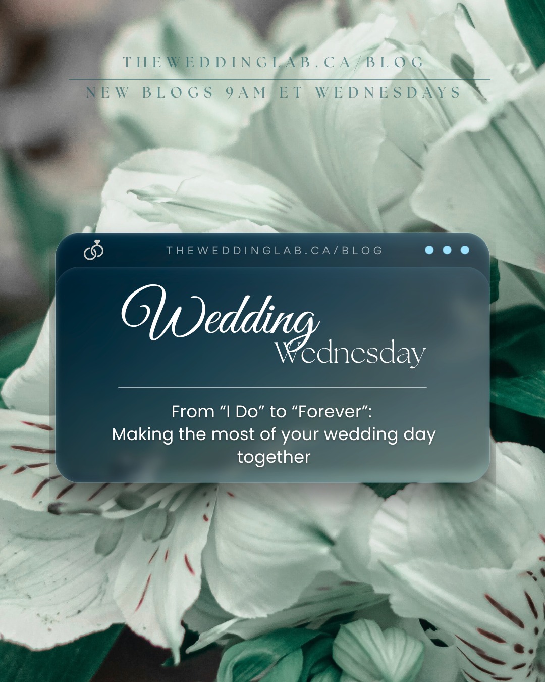 💍 Wedding Wednesday 💍
From “I Do” to “Forever”: Making the most of your wedding day—together.
Your wedding day isn’t just a celebration—it’s the first page of your forever story. In today’s Lab Report, we’re sharing intentional ways to stay present, connected, and grounded with your partner through every beautiful moment. From pre-ceremony nerves to the final dance, here’s how to make it truly yours.
Read now at theweddinglab.ca/blog 💫
theweddinglab.ca | theweddinglabcanada@gmail.com | or through our DMs