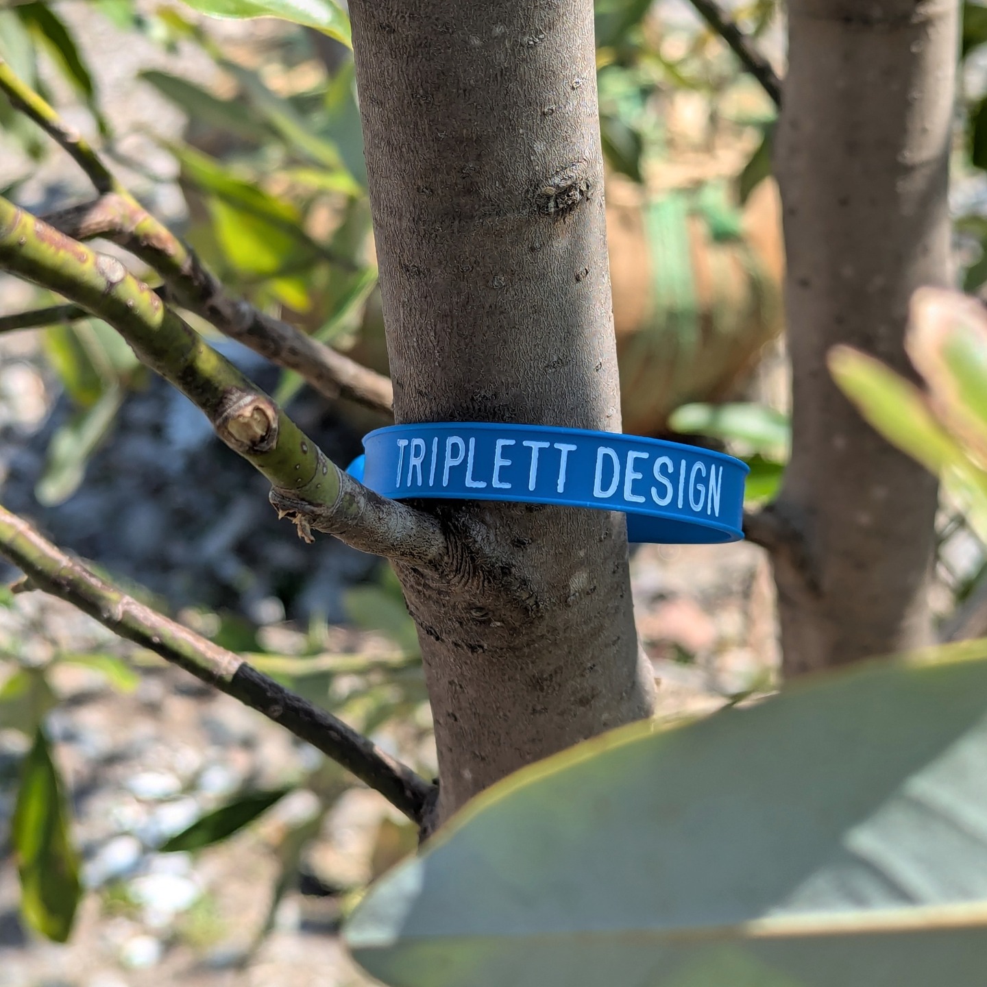 Long time no post! Our team has been growing and we've been diving into new projects big and small, public and private, all of the above. Enjoy these photos from our recent trip to @selecthorticulture where we picked out some beautiful plants for a riverside home, and unveiled our ✨brand new✨ TDS tree tags!
.
.
.
.
#triplettdesignstudio #landscape #landscapedesign #landscapearchitecture #landscapelovers #newenglandgardens #garden #gardens #gardeninspo #gardeninspiration #gardenlovers #gardendesign #plantlovers