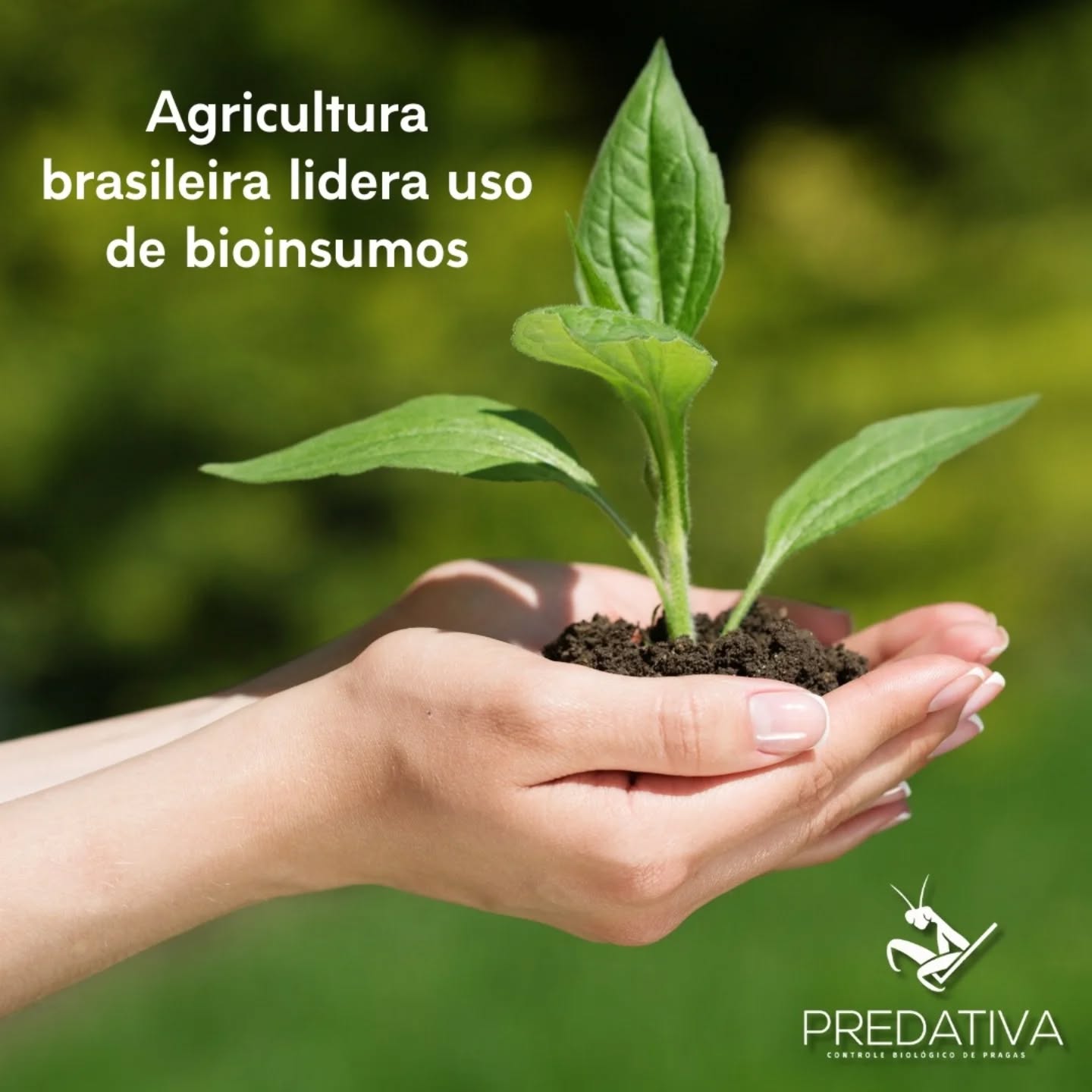 Fonte: g1 - https://tinyurl.com/2u87pt84
#bioinsumos #sustentabilidade #organicos #predativa