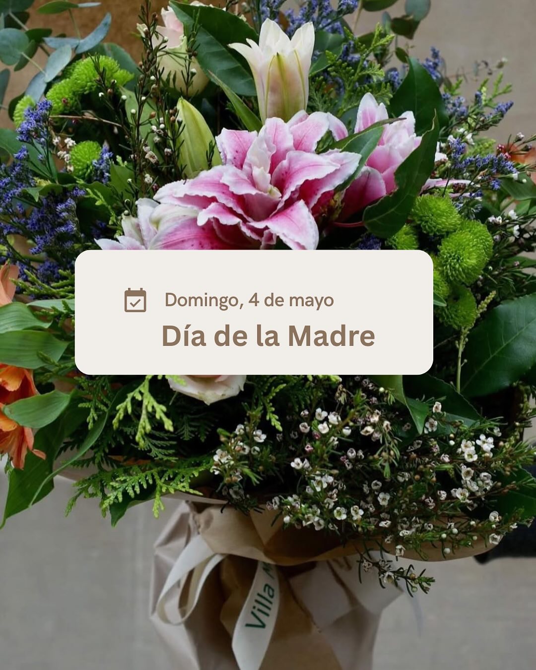 Se acerca el Día de la Madre.
¿Qué ramo le gustará más? 💐
Haz tu pedido en floristeriavillamiranda.com 💻