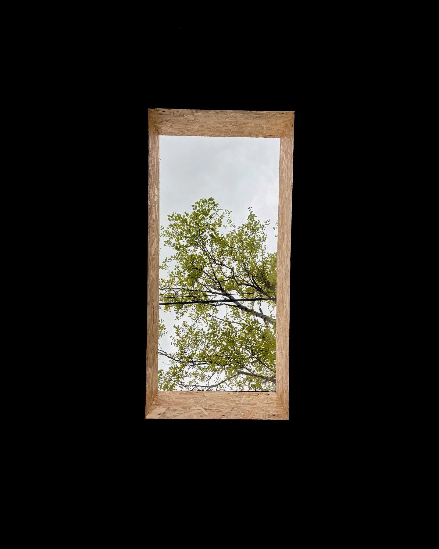 ☀️The garden studio now has a roof light. Job done! Massive thanks to @linearchitectureltd for making it happen end-to-end!