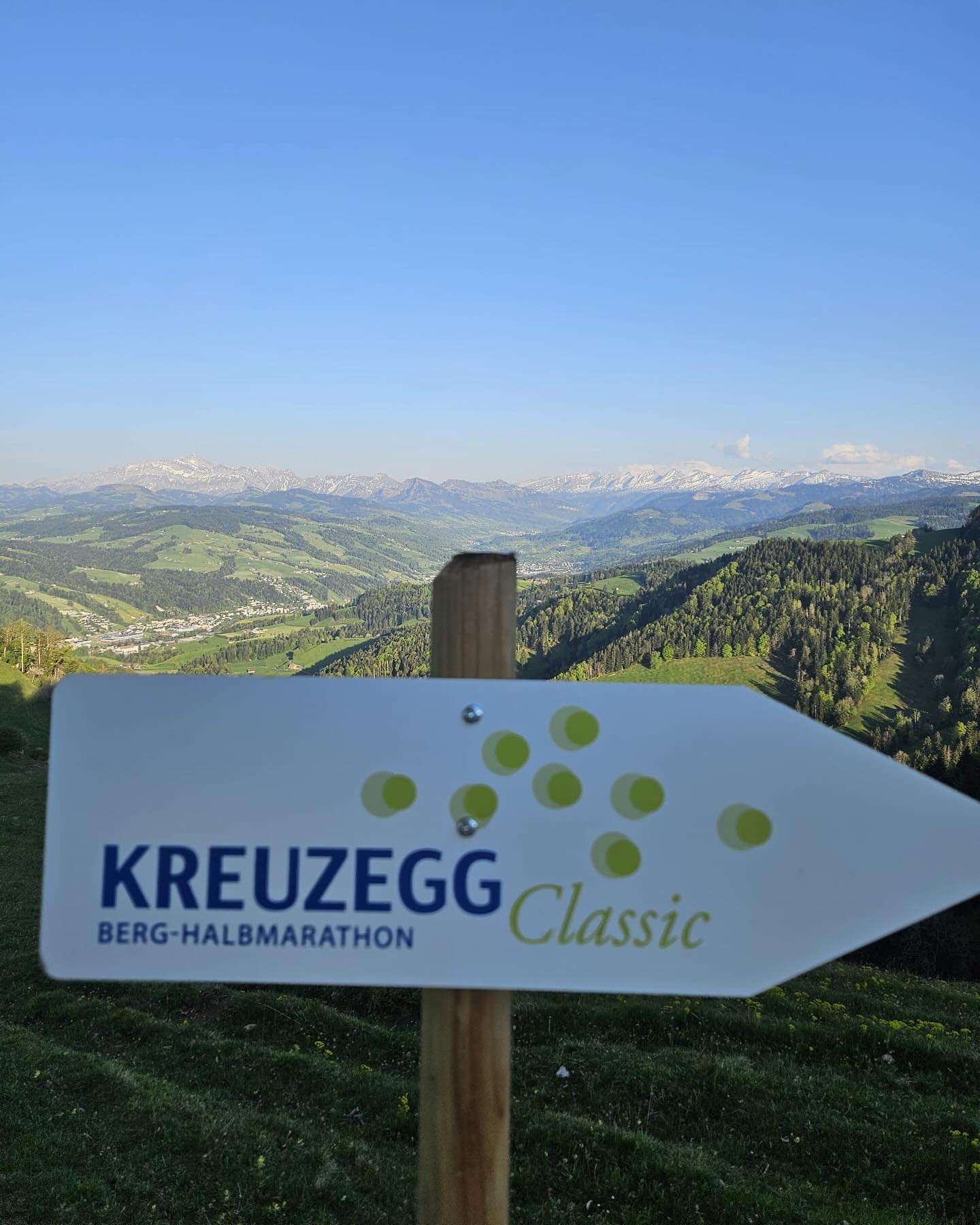 Gestern war unser OK fleissig am Werk – die Strecke ist jetzt mit Blachen, Wegweisern und Infotafeln ausgestattet. 📍⛰️
-
#kreuzeggclassic #lauf #run #kreuzegg #werbetafeln