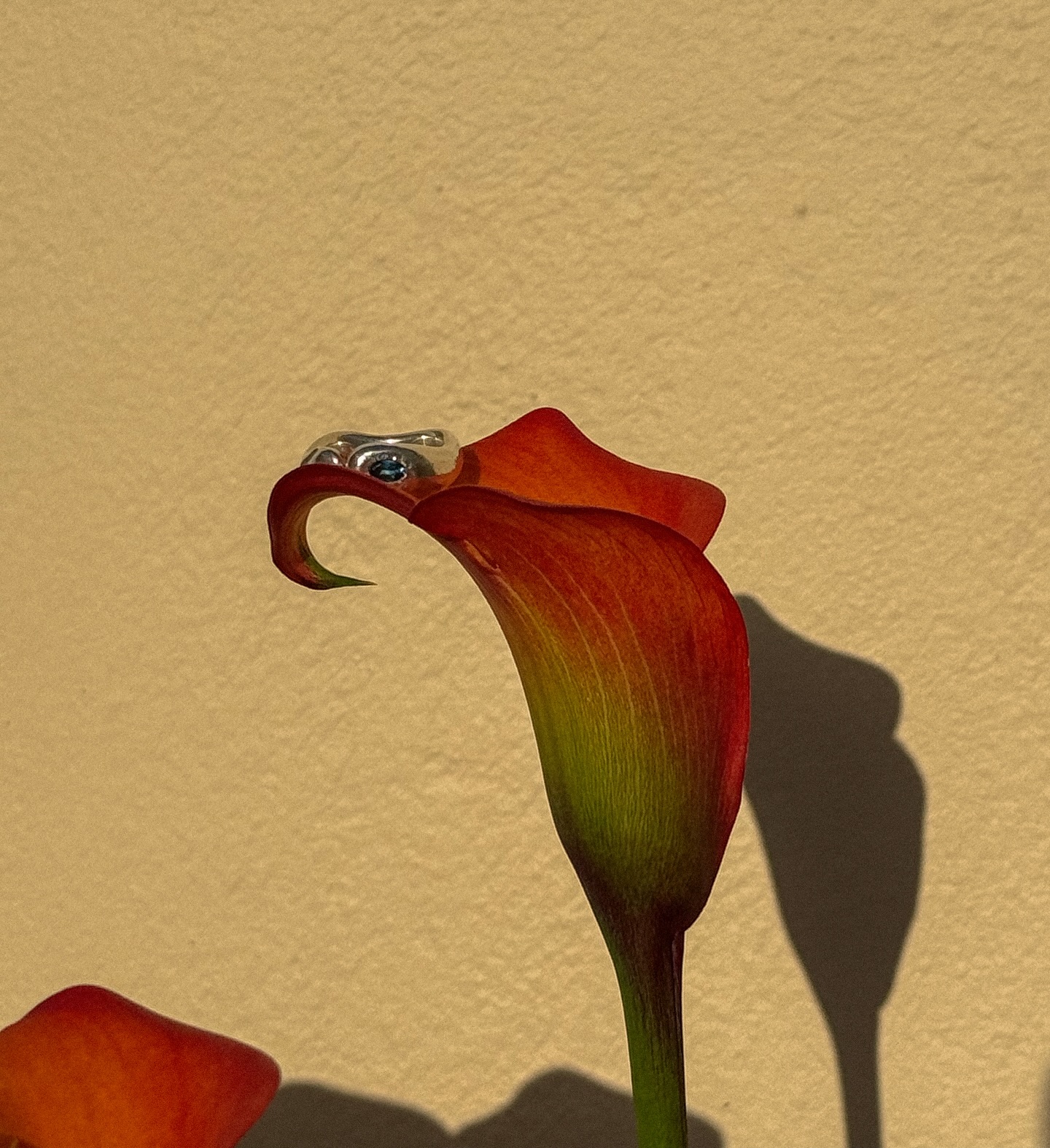 Happy May 🌼
Photo: @eirini_gnpl
#jewelry#silverjewelry#rings#silverrings#topaz#metaltexture#silverart#jewelrydesign#mikarojewelry