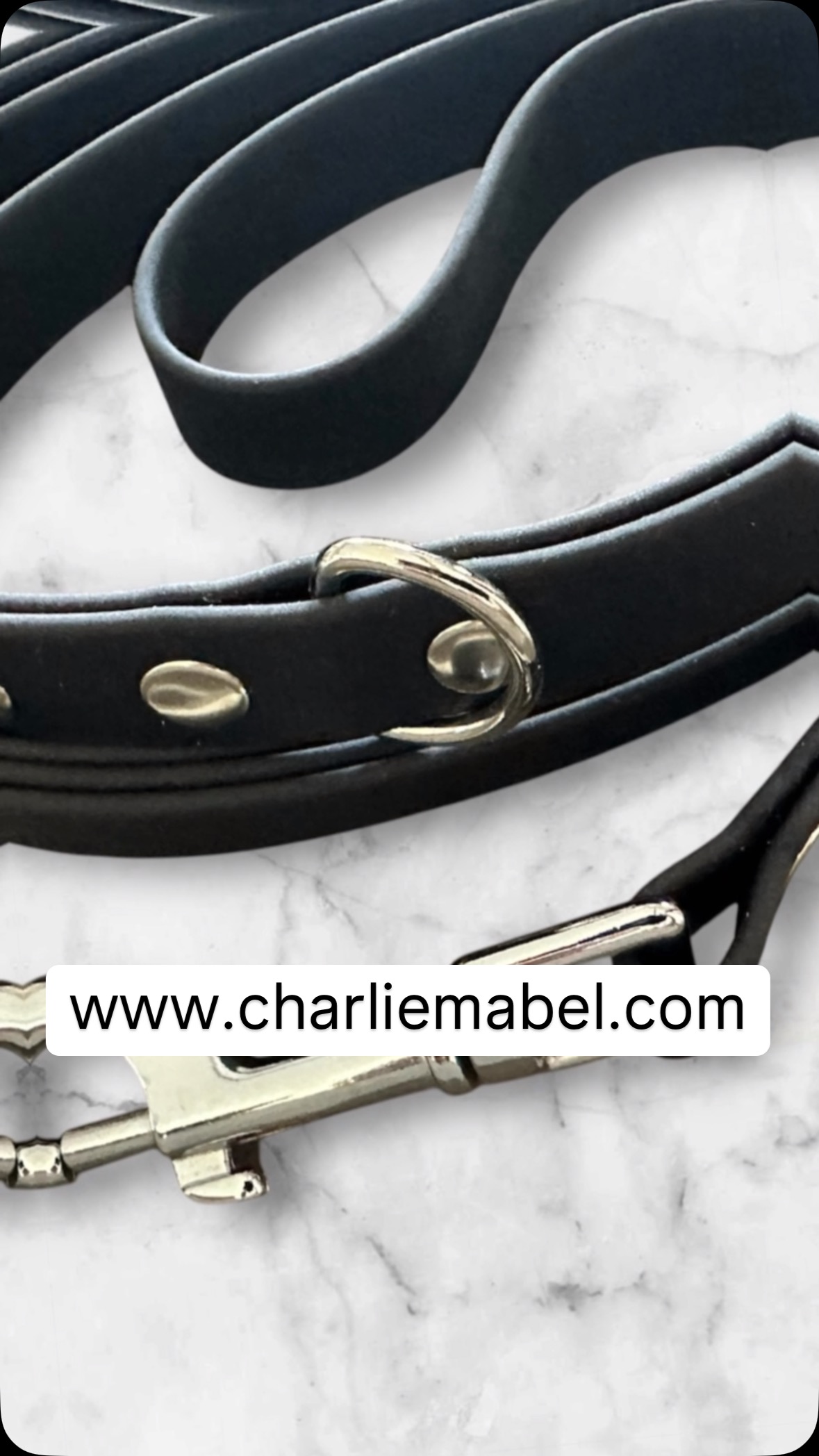 #yvrdogs #yvrdogsofinstagram #buylocalbc #biothane #bcdogs #langleybc