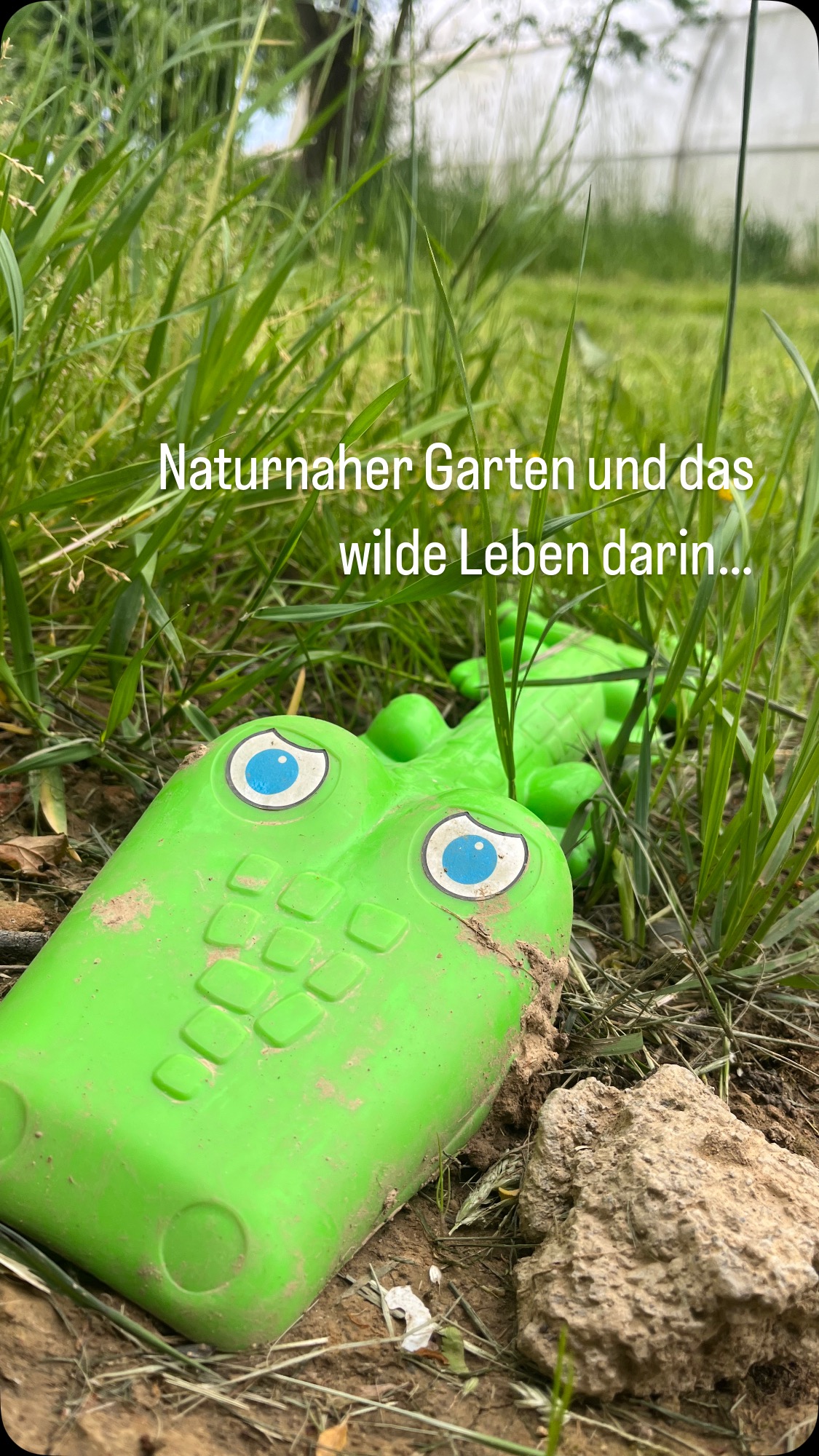 Der nächste Workshop steht vor der Tür und es dreht sich alles um den naturnahen Garten…
Welche Lebensräume schaffen ein stabiles System? Mit wenig Aufwand tolle Habitate schaffen und welche Pflanze braucht welchen Boden.
Wer sind meine Helfer im Garten und was nehmen sie mir an Arbeit ab.
Wie schaffe ich mir mein eigenes Paradies mit wenig Arbeit und wenig Geld.
Lasst euch inspirieren euren Garten zu einem kleinen Ort der Vielfalt zu machen und erfreut euch an der Vielzahl an Leben dass ihr unterstützt und beobachten könnt 🫶🏼
Gleich auf der Website anmelden
Link in der Bio
#permakultur #naturnah #garten #diy #biotope #naturschutz #artenvielfaltfördern #artenvielfaltschützen #artenvielfalt #gartln #regenwurm #passau #landkreispassau #windorf #vilshofen #regional #workshop #schön #entspannung #gleichgewicht #entschleunigung #natur #inspiration #kurse