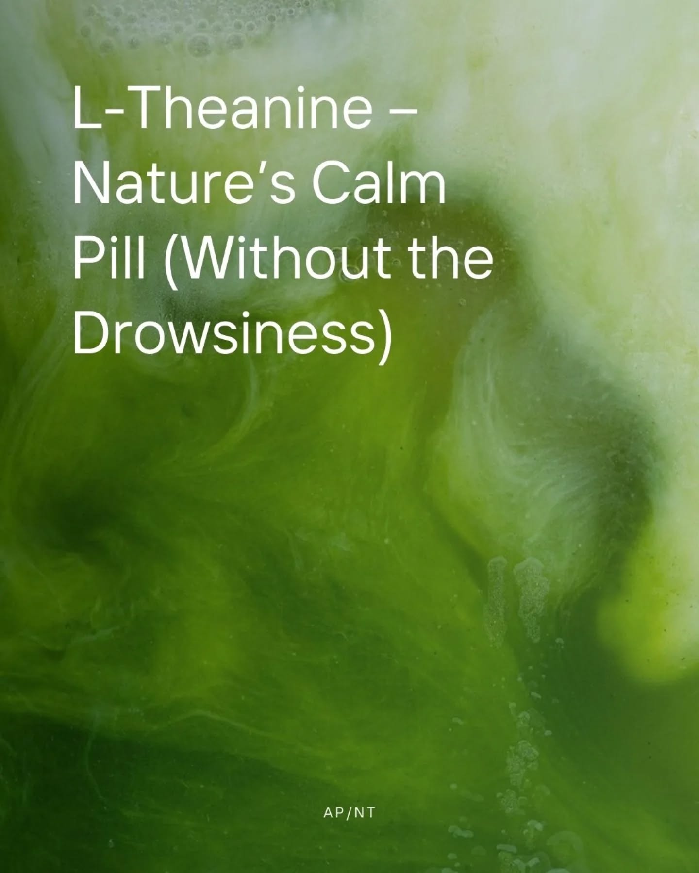 L-Theanine is an amino acid primarily found in tea leaves, especially green tea. It's known for its calming effects without causing drowsiness. Have a read to find out more🍃