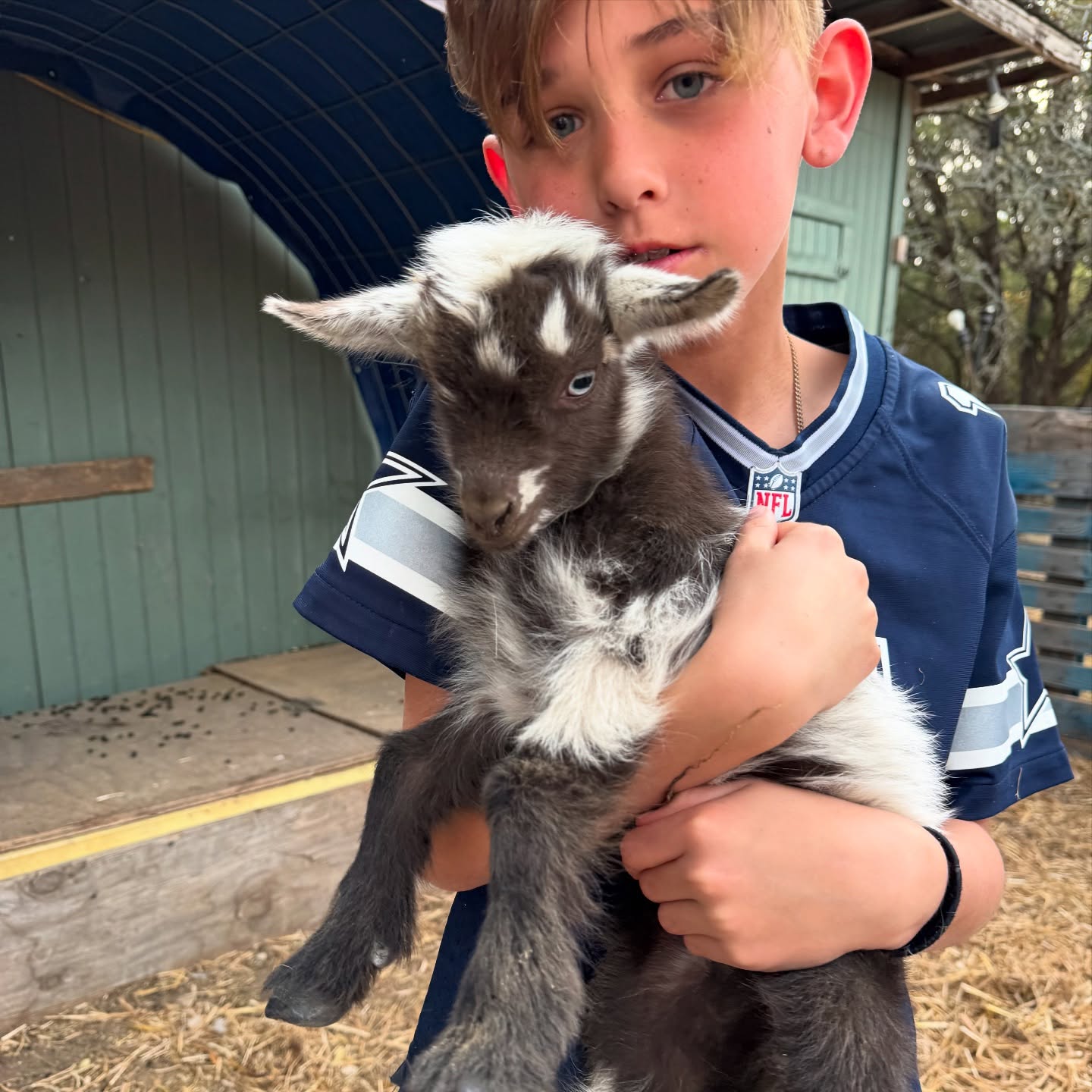 Boerne Goat Yoga is booking baby yoga classes for the next few weeks —— hurry now before these KIDS get too big! It’s quite the experience!
Book online or send me a message and I will get you in touch with the instructor Lisa @boerneyogamama
www.boernegoatyoga.com
#goats #goatyoga #yoga #petsitter #petsitting #boerne #fairoaksranch