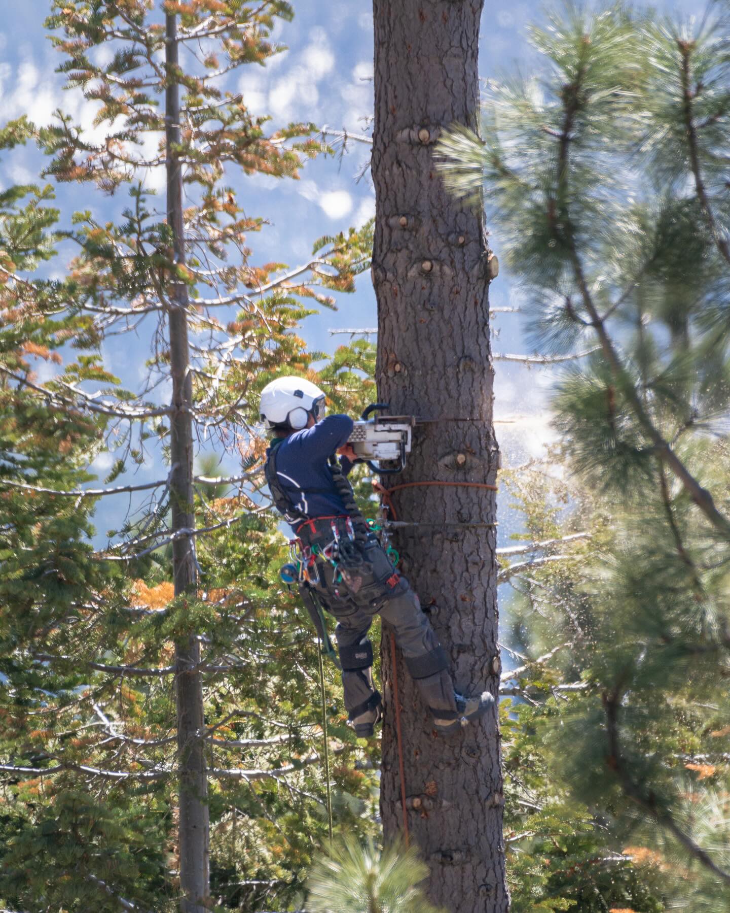 So pitted brah 🌊 🏄♂️🤙 📸: Smoy #northshore #northlaketahoe #inclinevillage #tahoe #crane #treeworkerlife