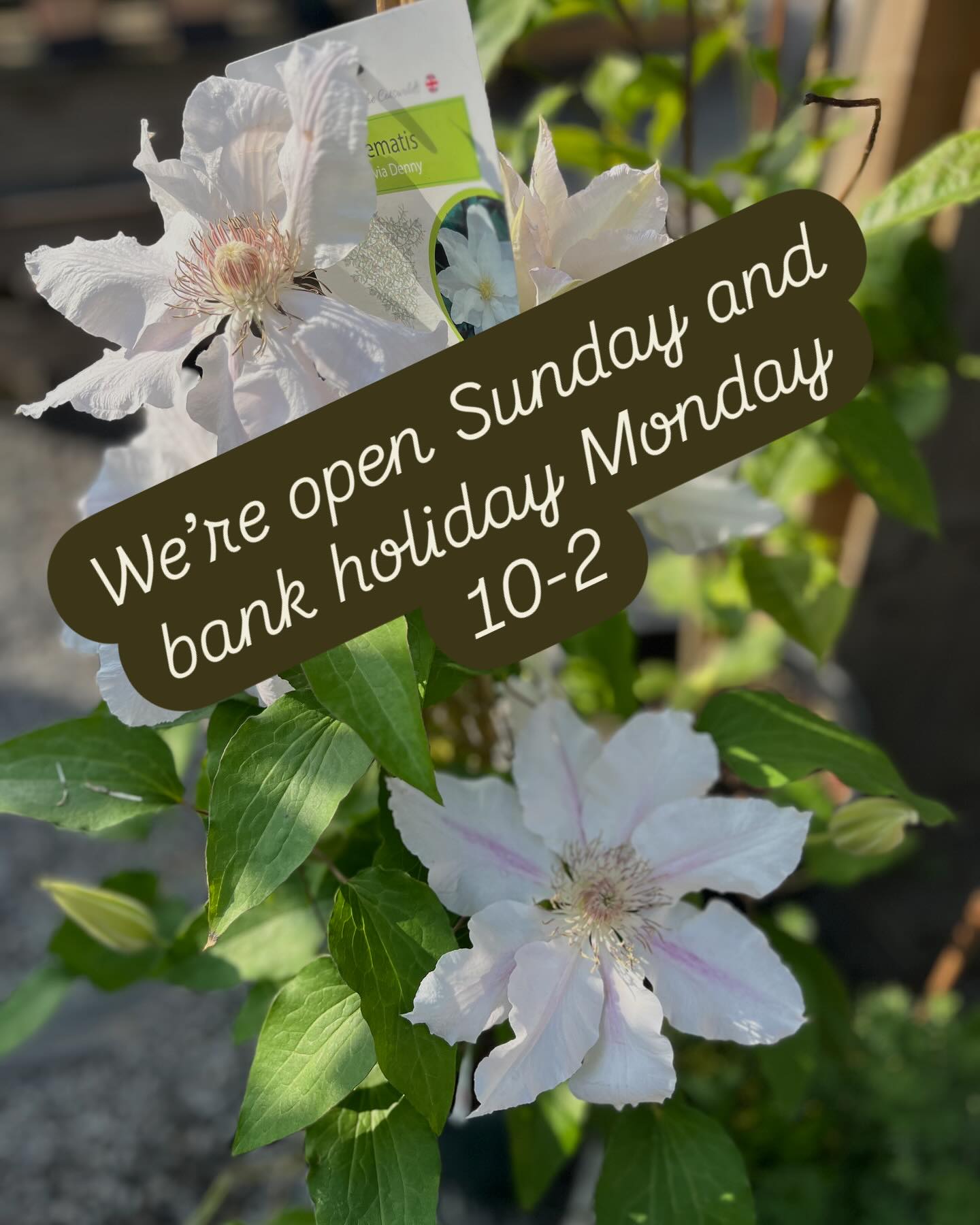We are open Sunday and Bank Holiday Monday 10-2
