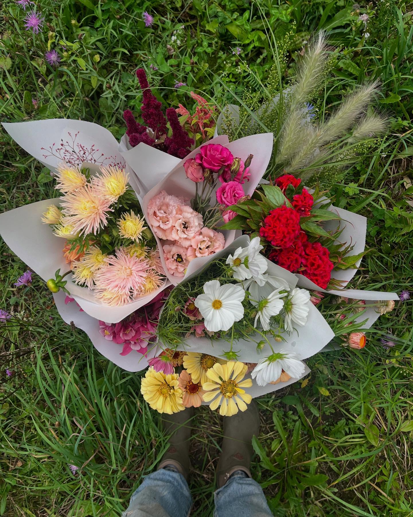 ~ play with flora grey ~
Introducing our seasonal bloom bucket subscription: play with flora grey.
An invitation to truly experience local flowers and play with their magic. Create beauty for the home, a special event, or to share with friends.
Subscribers will receive four buckets spaced out through the growing season. Every bucket is brimming with the best of what the season has to offer - varying in texture and colour, and always inclusive of botanical surprises.
Available for pick up at our farm in Holland Centre, or at The Local Flower Collective in Toronto.
A perfect Mother’s Day gift, or a season of flowers, just for you. Order by May 7th to schedule your first bucket for Mothers Day and receive a complimentary @comberger greeting card ✨
Total investment $350 +hst
Email floragreygrows@gmail.com to order