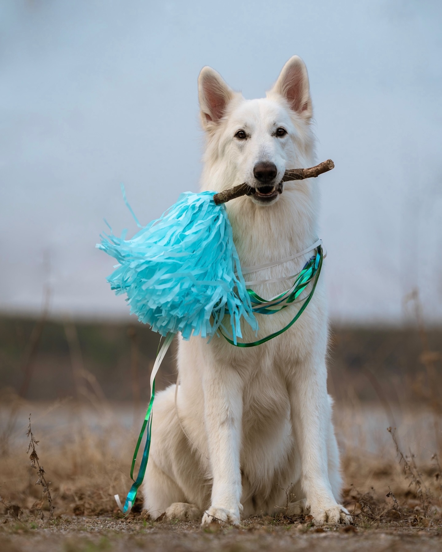 Riemukasta vappua koko Lillvetin porukalta! đđ©đ„
Palvelemme vapun ajan seuraavasti:
TAMPERE
Ke 30.04. 08:00-18:00
To 01.05. suljettu!
KANGASALA
Ke 30.04. 08:30-18:00
To 01.05. suljettu!
SEINĂJOKI
Ke 30.04. 09:00-17:00
To 01.05. suljettu!