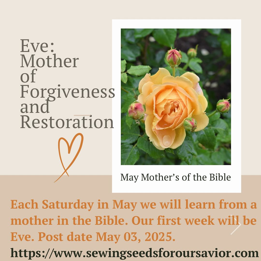 www.sewingseedsforoursavior.com