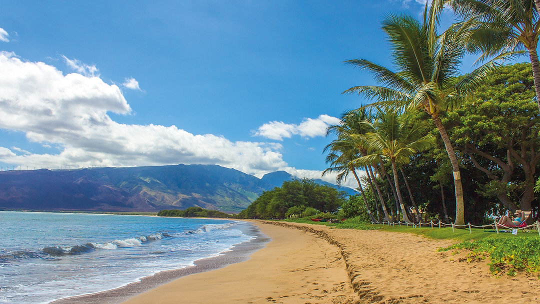 Discover Hawaii’s untouched beauty! From stunning beaches to lush landscapes, this is the vacation destination you’ve been dreaming of. 🏖️✨ Link in Bio #Hawaii #Travel #Adventure