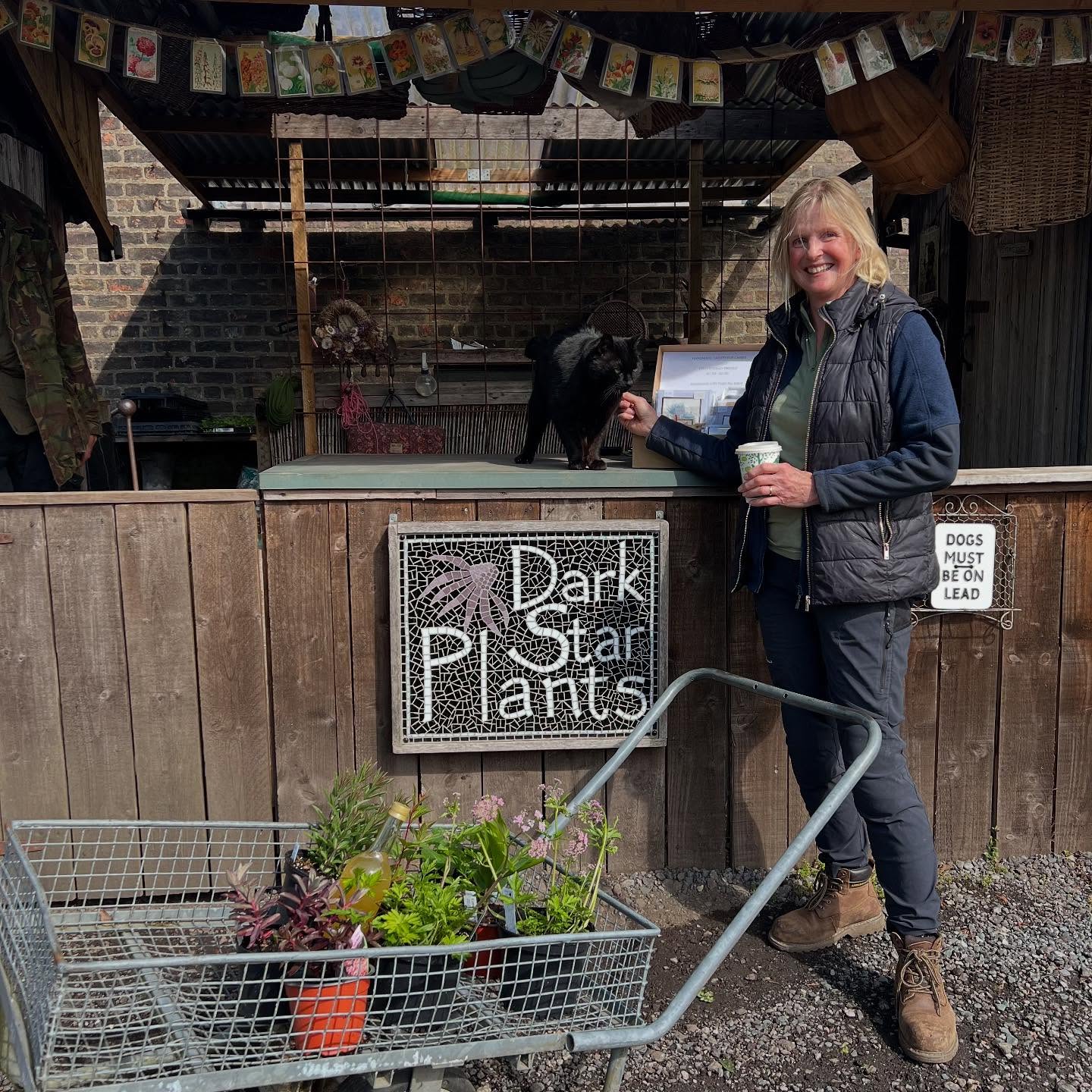 Trip out today to the lovely specialist plant nursery @darkstarplants for a few choice purchases then to admire the wisteria at @norton_conyers Back to the garden for the rest of the day where tulip World Friendship, planted 4 years ago, is still going strong . #wisteria #yellowtulip #mixedborders #gardenersofinstagram🌱