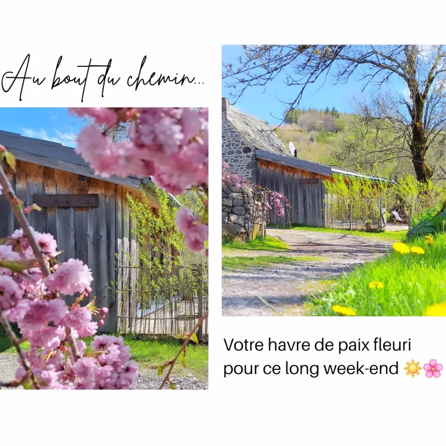 Soleil, fleurs et sérénité sont les complices d'une douce escapade pour nos lodgeurs qui arrivent !
#instachill #gitenature #weekendamoureux
#photooftheday #photodujour #sancy #montdore #semettreauvert #nattitude #nature #igersauvergne #francetourisme #lodge #auvergnerhonealpestourisme