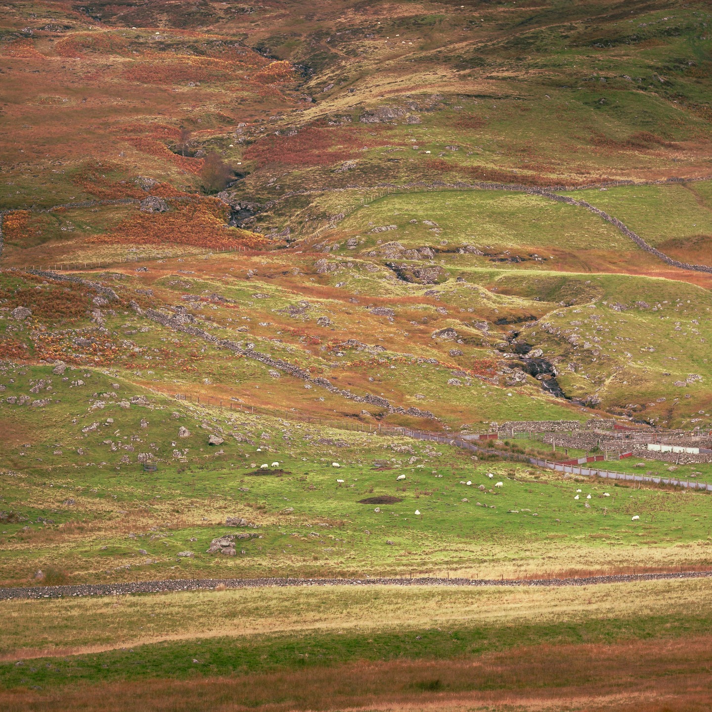 Colours and textures. I like that.
#ScotlandScenery #Blairgowrie #ScottishHighlands #ScotlandLovers #VisitScotland #ScotlandExplored #ScotlandTravel #NaturePerfection #ScottishLandscapes #ScotlandIsNow #RuggedBeauty #LoveScotland #ScenicScotland #UKLandscapes #LandscapePhotography #ExploreMore #NatureLovers #MountainViews #ScotlandShots #ThisIsScotland #WildScotland #ForestViews #CountrysideViews #AutumnInScotland #NaturalLight #ScotlandAdventure #WanderScotland #UKPhotography #ExploreScotland #ScotlandOutdoors