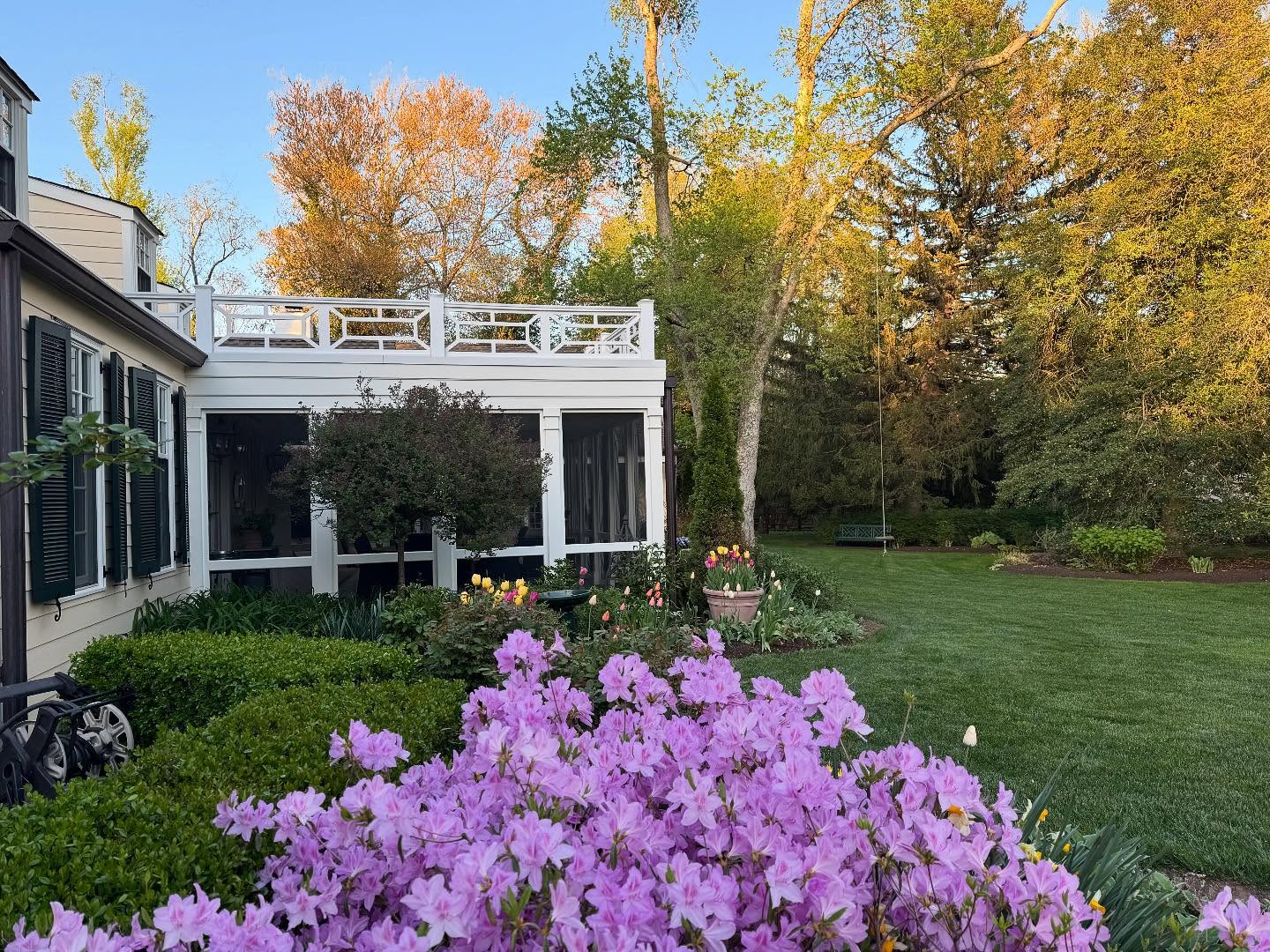 Azeleas in the garden. These are ‘Poukhanense’ Azealeas, also known as Compact Korean Azaleas. They used to enjoy a shady spot under a tree that was here, but were cast into the full sun after the tree split and had to be taken down a few years ago. I’m sure they would prefer a more shady location but they have been hanging in there quite admirably, despite the less-than-ideal light conditions.
-Cape Cottage Garden, Zone 7a, New Jersey, USA.
#Finegardening,#perennialgardens #countrygardens #gardengatemagazine #thecottagejournal #unbelievablegardens #homeandgarden #thehappygardeninglife #gardendesign #romanticgardendreams #countrygarden #gardenplanning #gardengreatorsmall #betterhomesandgardens #thegardeningspirit #gardenanswer #njgardening #bhggarden#cottagegardens #flowerlovers #gardensofinstagram