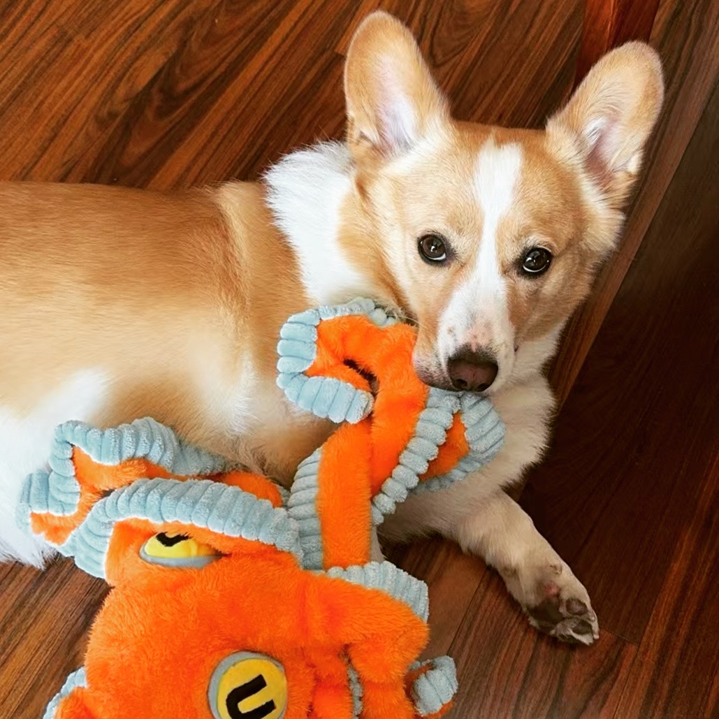 🐾✨ New York Pet Lovers, This One’s for YOU! ✨🐾
Calling all NYC pet parents, paw-some pals, and whisker-worthy humans! 🐶🐱🐰 Whether you’re a doggo devotee, a cat connoisseur, or a small-pet superfan—Pet & Tales is your new go-to spot to connect, share, and geek out over all things furry, feathery, or scaly! 🌆
Join the pack and…
✅ Swap hilarious pet stories (we know your cat has opinions).
✅ Learn pro tips from local experts (yes, even how to survive squirrel-chasing season 🐿️).
✅ Discover NYC’s hidden pet gems (parks, cafes, groomers—oh my!).
✅ Show off your BFF’s latest glamour shot 📸 (we live for those toe beans).
Let’s turn the Big Apple into the Big Snuggle! 🍎❤️
👉 Tap the link in bio to join NYC’s fur-vorite community:
petatales.wixsite.com/homepage
Tag your pet squad below and let’s make this city the ultimate playground for paws and claws! 🎉 #NYCPetLovers #PetTalesNYC #FurEverFriends
P.S. Extra treats for anyone who shares this with a fellow pet-obsessed human. 🦴🐾