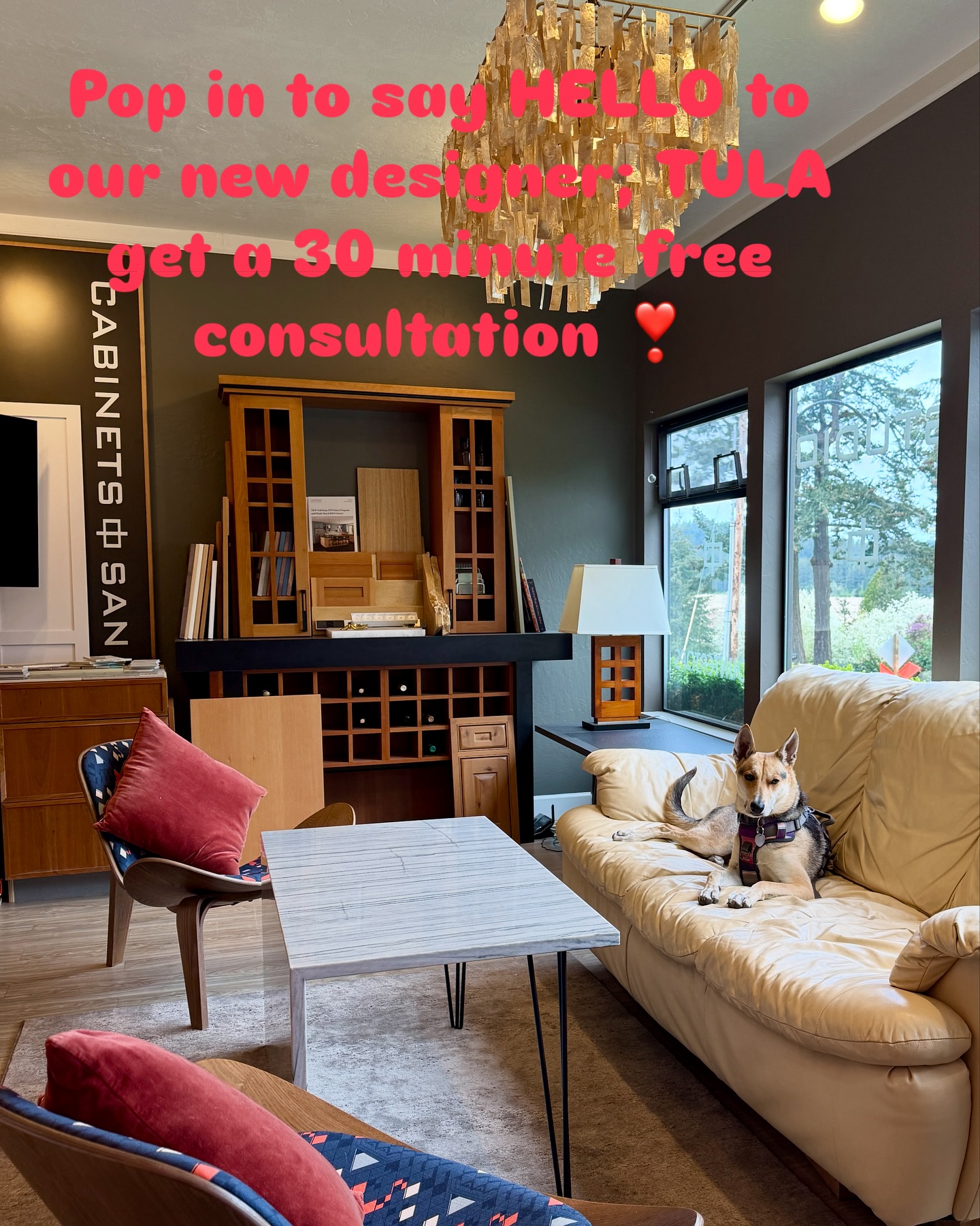 Tula in the house!! Come by to meet our sweet pup and get a 30 minute complimentary design session. We’re in training to help her meet and greet….so we’d really appreciate your help🤩Text us 360-317-6973 to make an appointment M-Th 10-3 or over the weekend🫶🏼