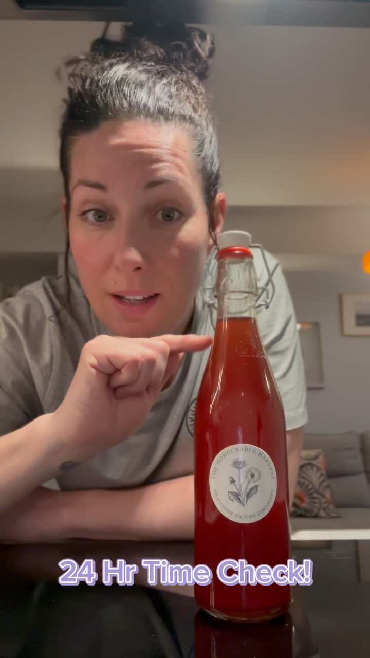 The fermentation process usually takes a few days so it’s not too satisfying popping the lid open at this point. It’s still important to do so to release the gas - you never know how quickly things will ferment!