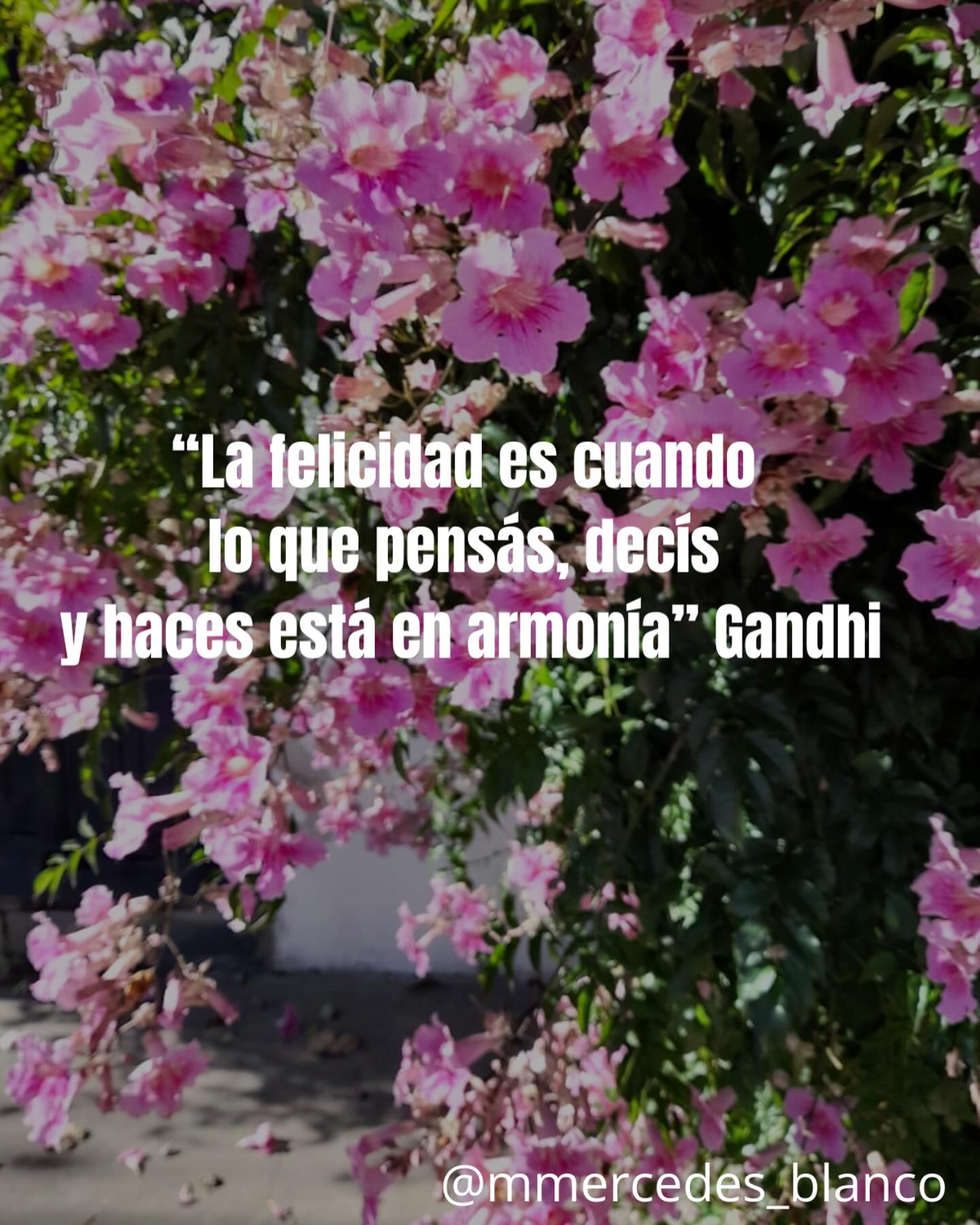 frase de hoy❤️