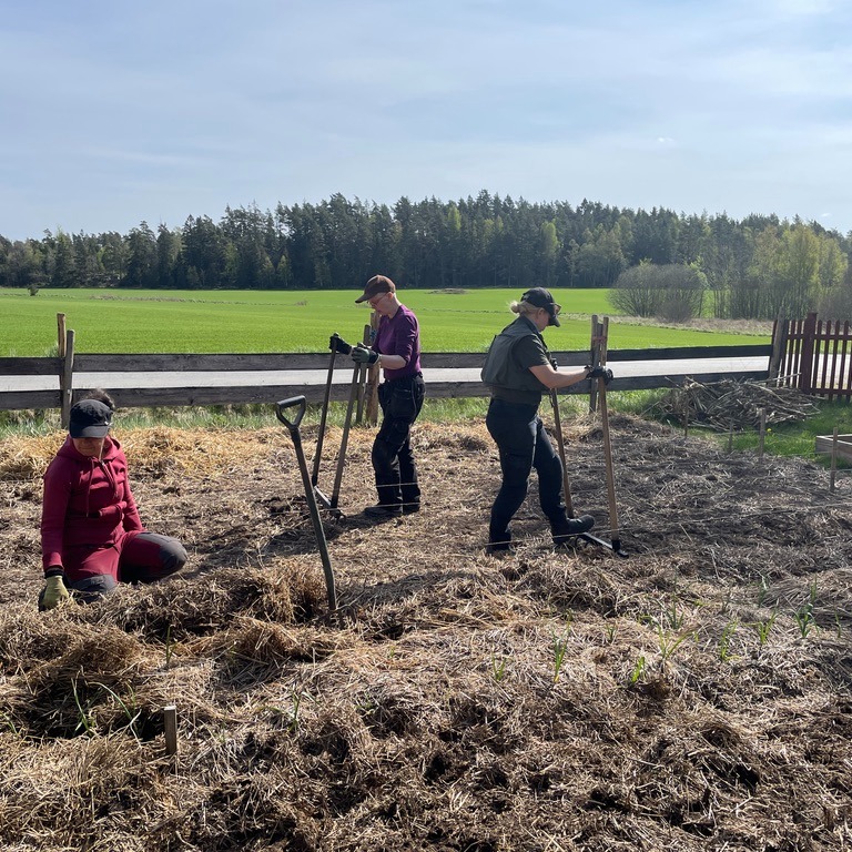 Idag har vi varit på arbetsdag hos Magnus och Maria på Knutstorp. Tömde ett tak på tegelpannor, gjorde i ordning grönsaksodlingen och kapade en hel del ved. Trevligt häng med gårdssamverkansgänget.